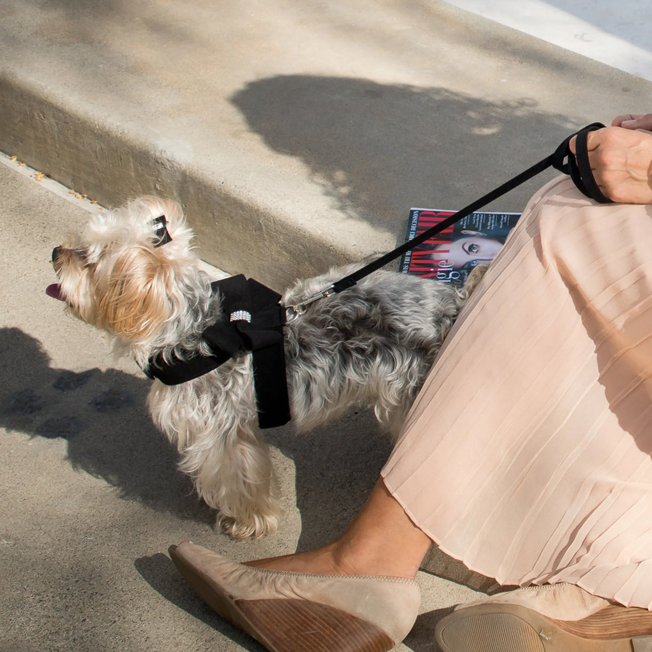 Susan Lanci Designs Plain Leash - Image 2