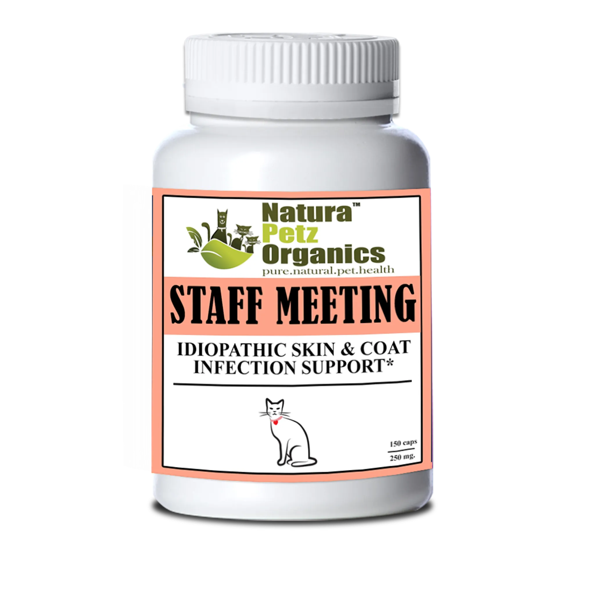 Staff Meeting* Idiopathic Skin & Coat Infection* Support For Dogs And Cats* - Image 4
