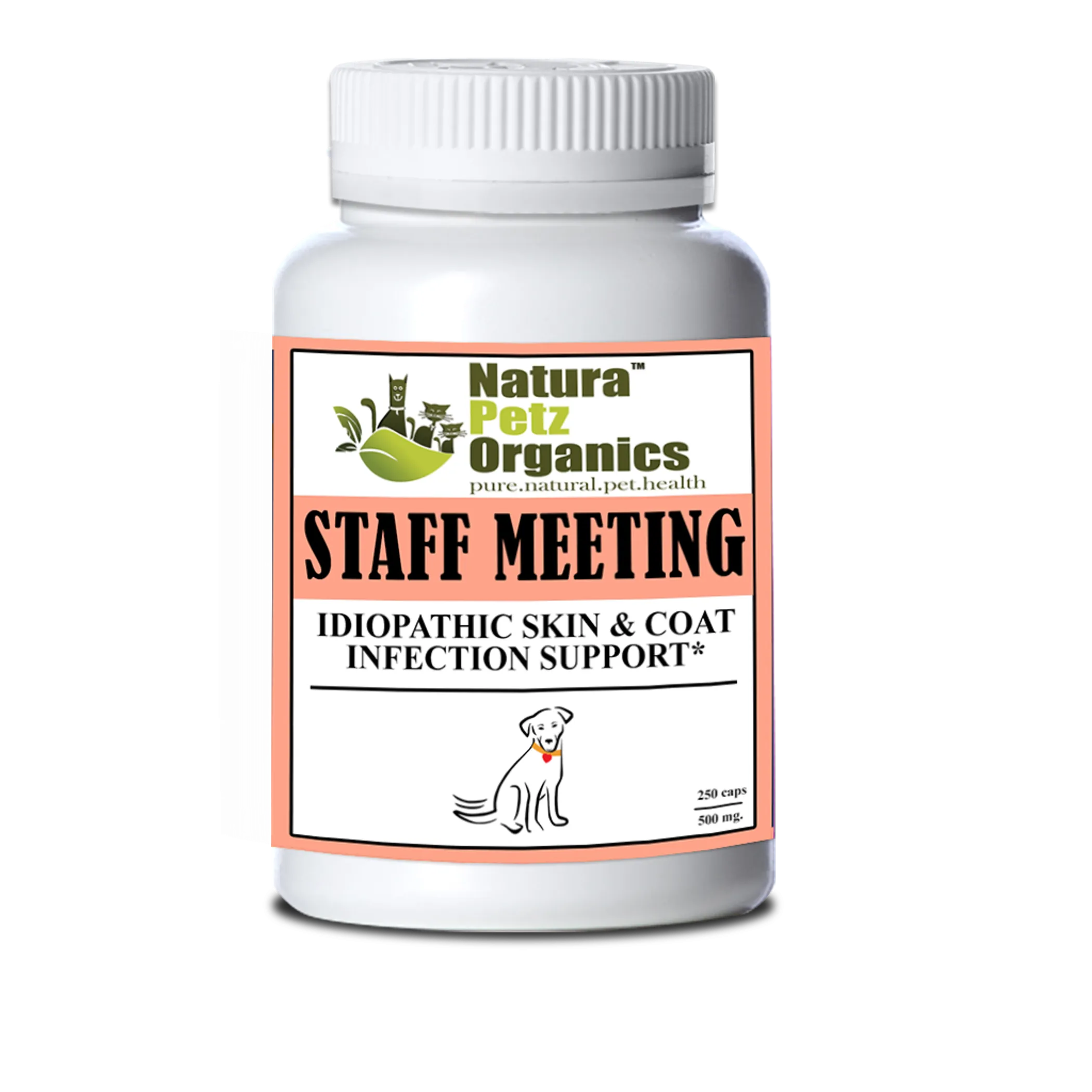Staff Meeting* Idiopathic Skin & Coat Infection* Support For Dogs And Cats* - Image 2