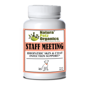 Staff Meeting* Idiopathic Skin & Coat Infection* Support For Dogs And Cats*