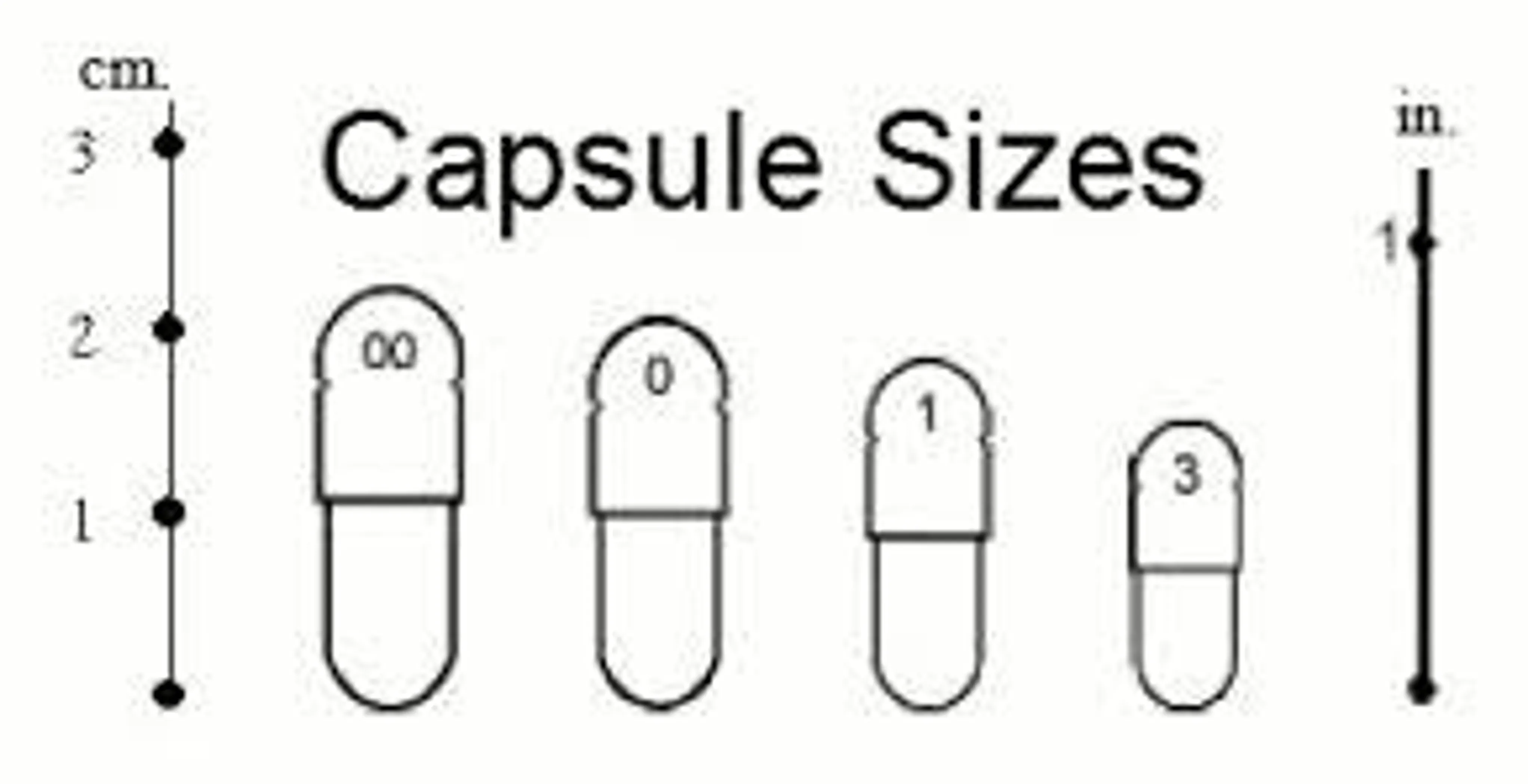 Super Model In A Bottle - Metabolic Weight & Obesity Slimming Support* Adult & Senior Pets* - Image 3
