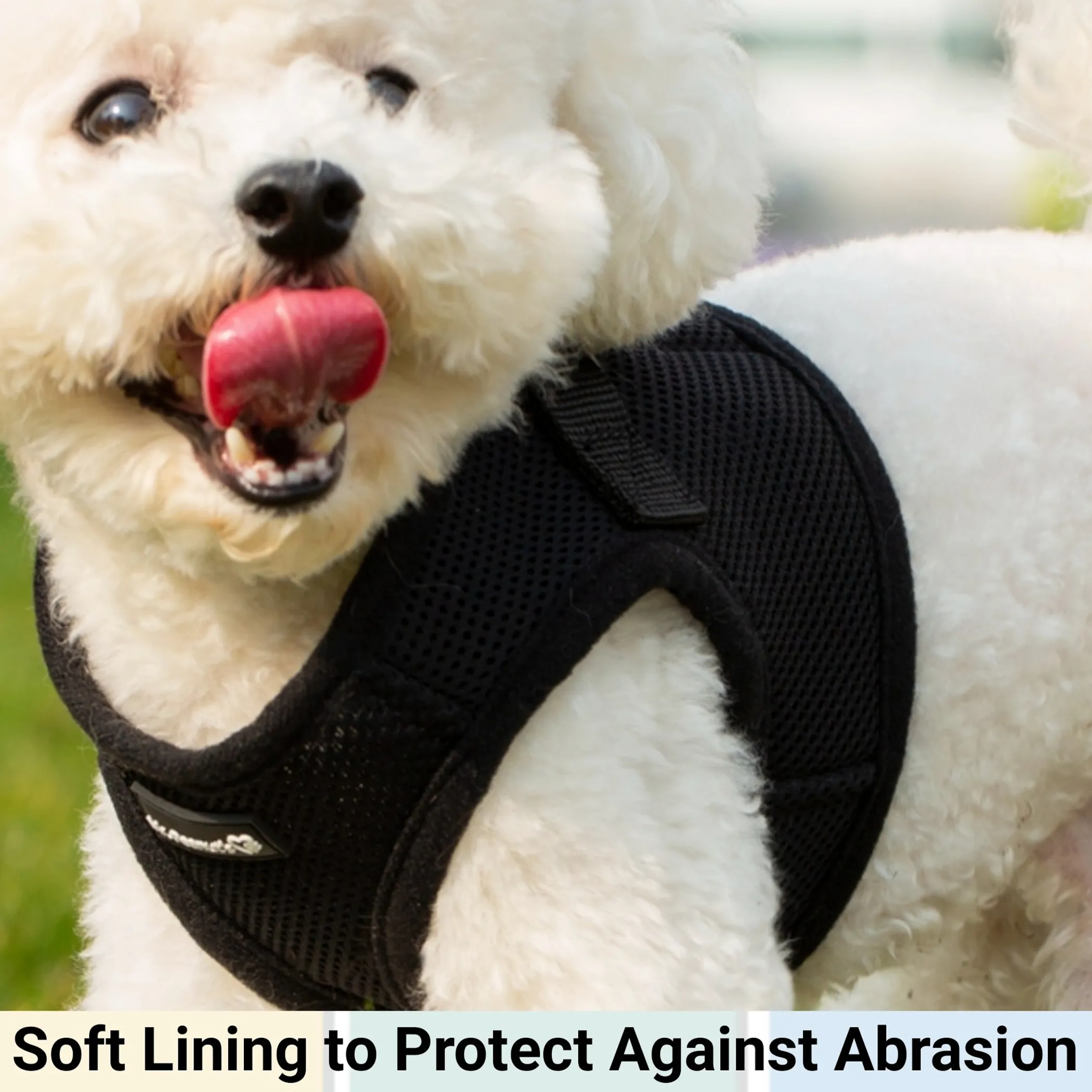 Mr. Peanut's PupTrek Small Dog/Cat Soft Mesh Step In Harness Vest - Image 3