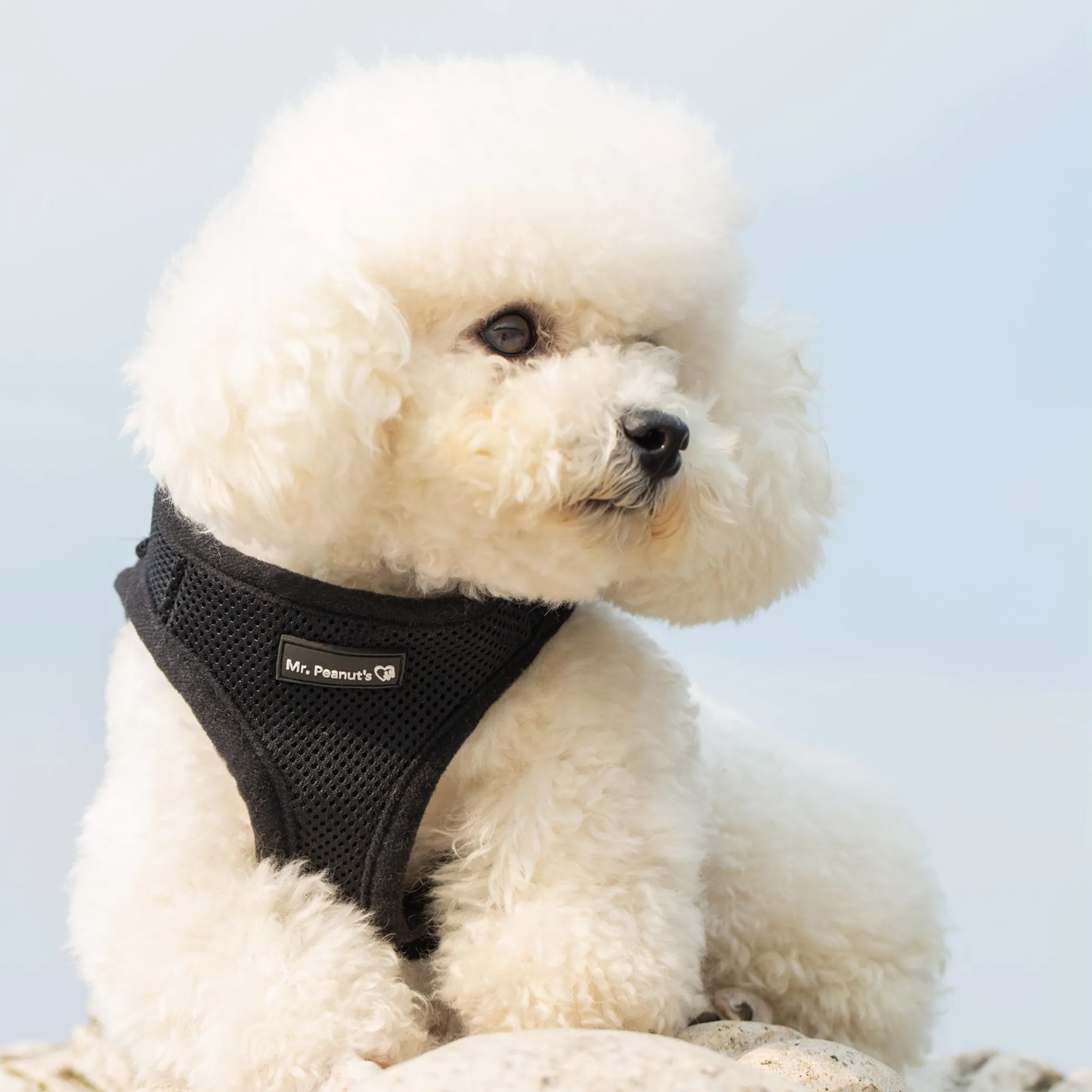Mr. Peanut's PupTrek Small Dog/Cat Soft Mesh Step In Harness Vest - Image 4
