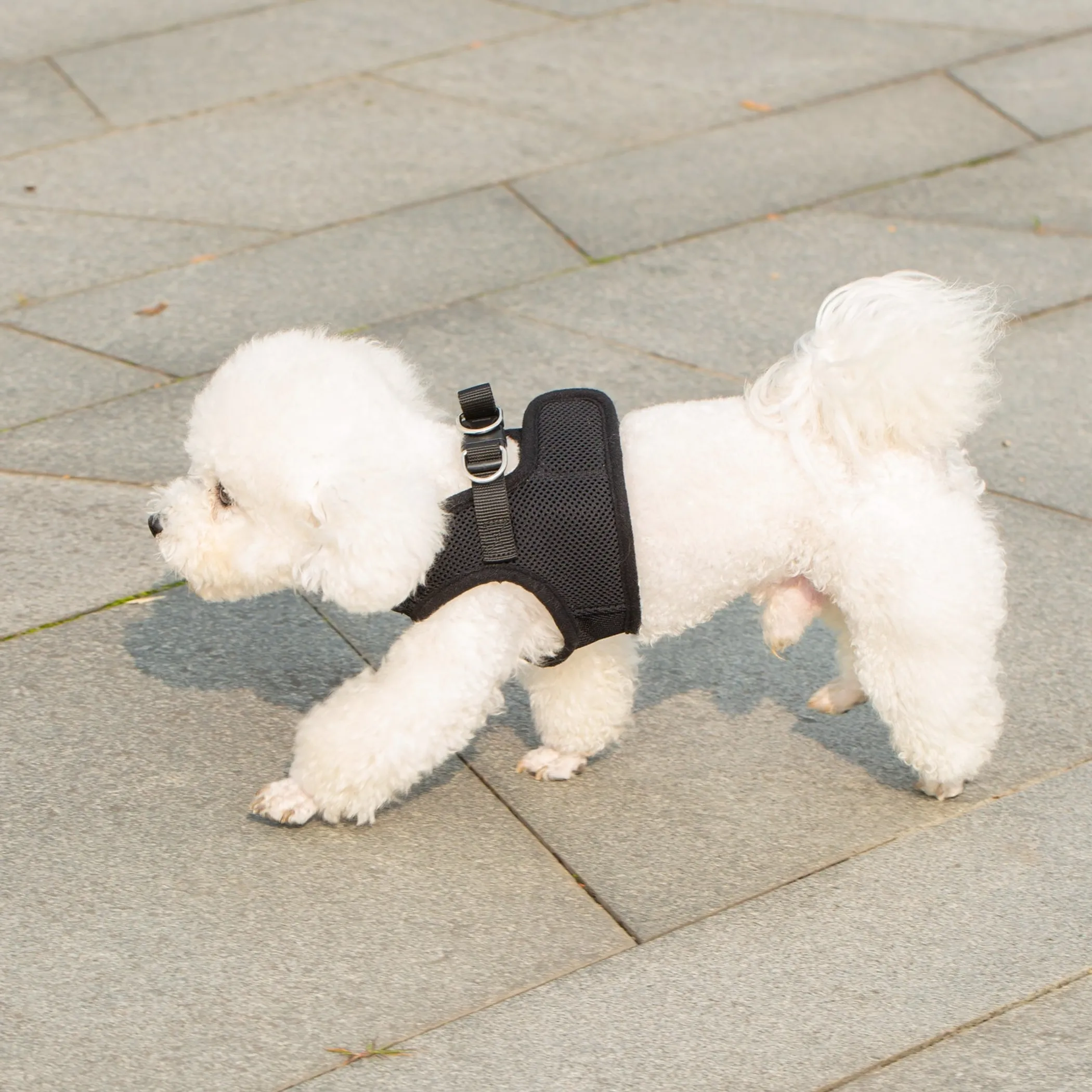 Mr. Peanut's PupTrek Small Dog/Cat Soft Mesh Step In Harness Vest - Image 5