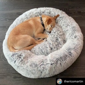Mr. Peanut’s OrthoPlush Pet Bed