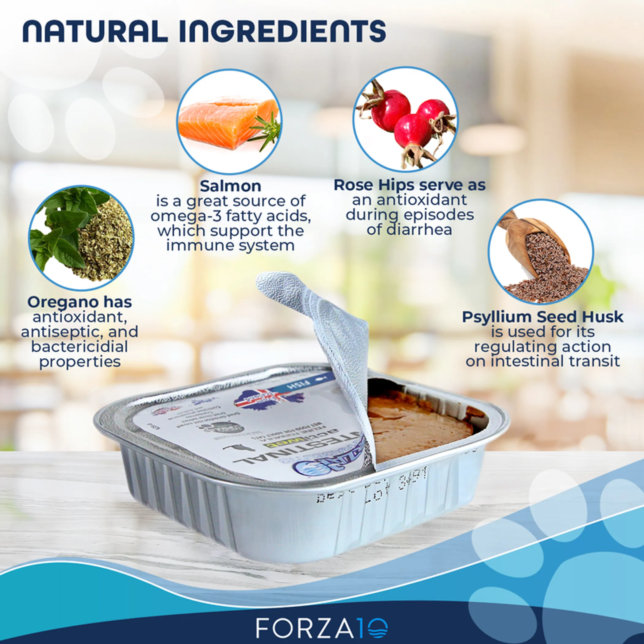 Forza10 Actiwet Intestinal Support Icelandic Fish Recipe Canned Dog Food - Image 3