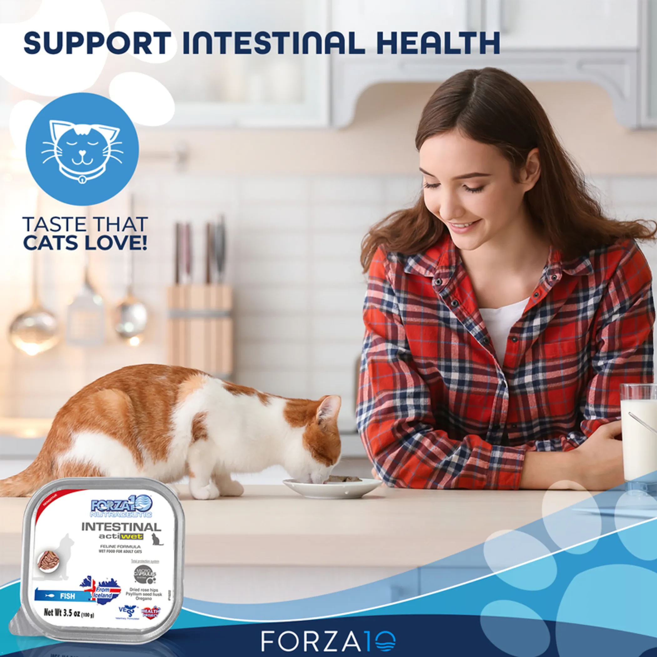 Forza10 Actiwet Intestinal Support Icelandic Fish Recipe Canned Cat Food - Image 2