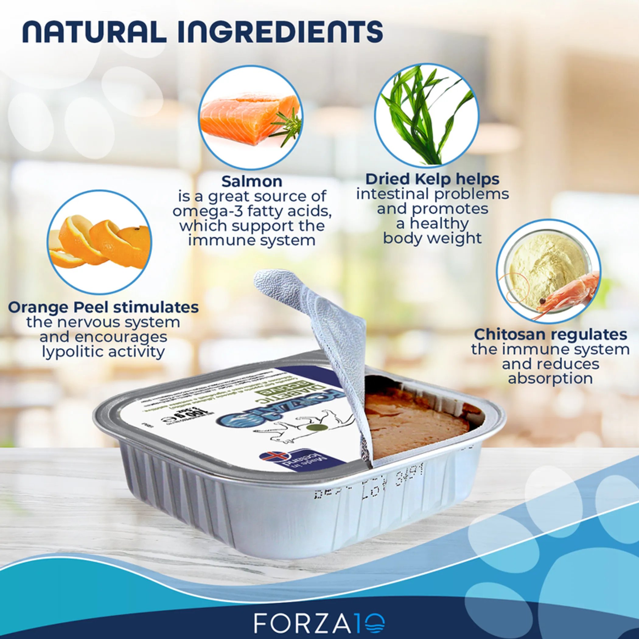 Forza10 ActiWet Diabetic Support Icelandic Fish Recipe Canned Cat Food - Image 3