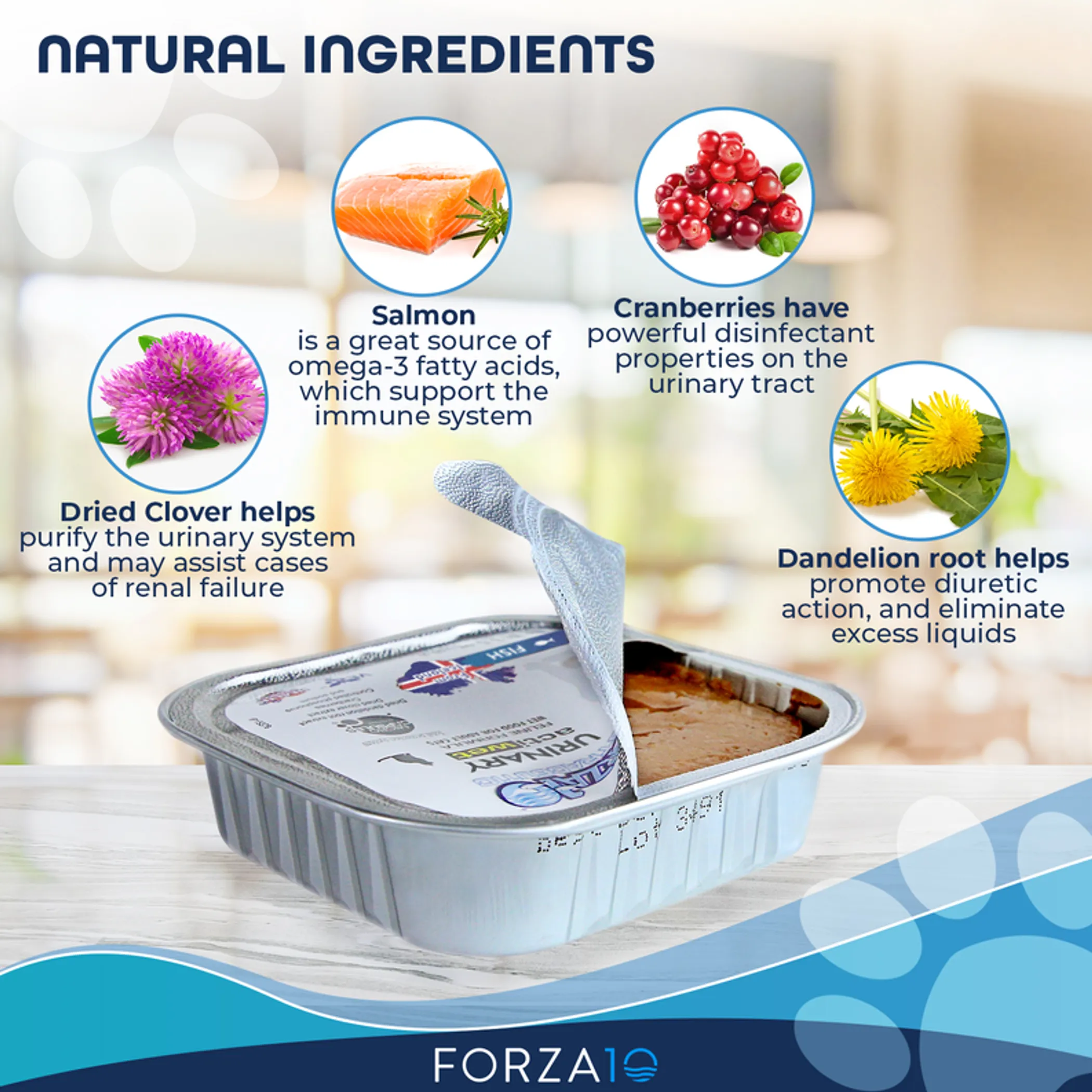 Forza10 Actiwet Urinary Support Icelandic Fish Recipe Canned Cat Food - Image 3