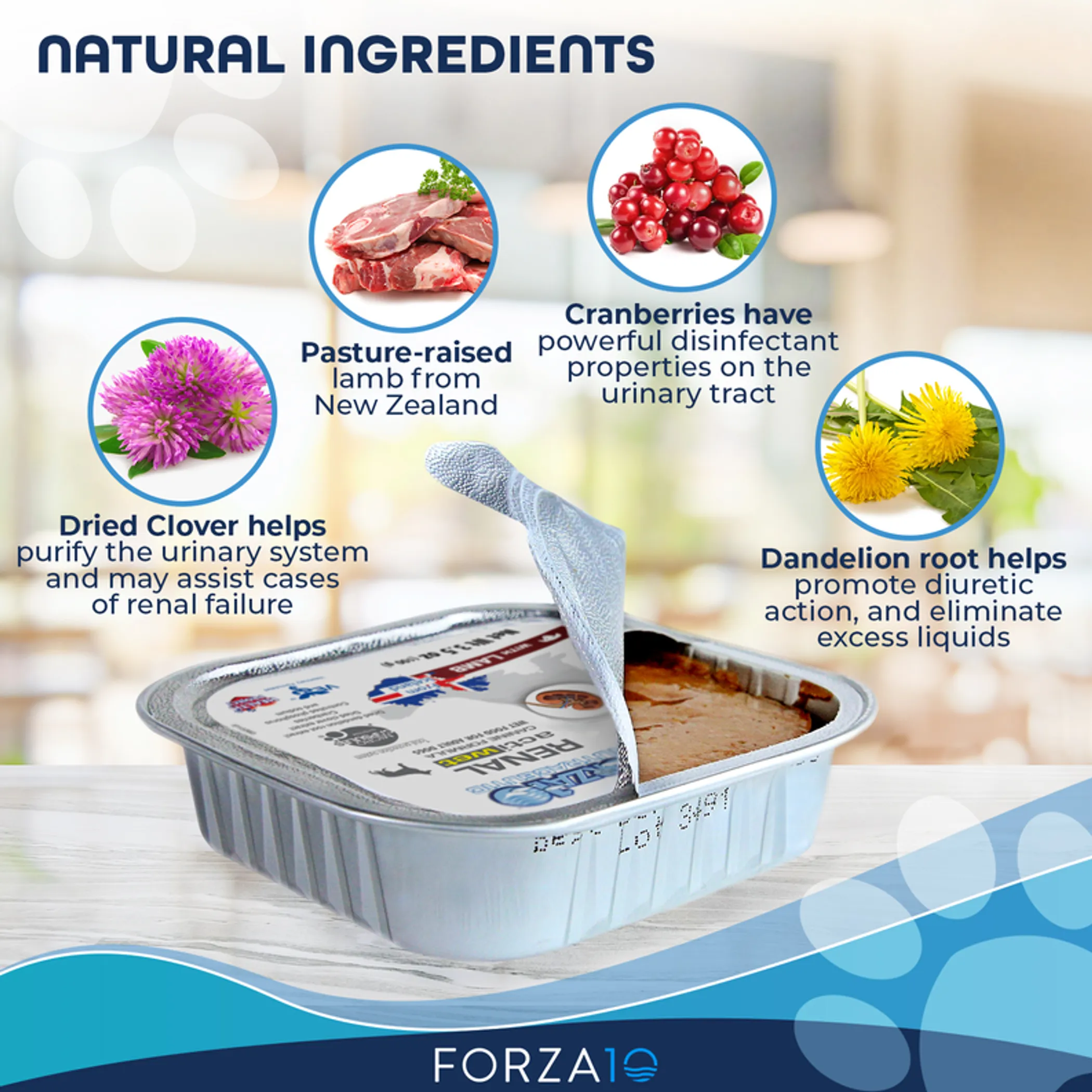 Forza10 Actiwet Renal Support Canned Dog Food - Image 3