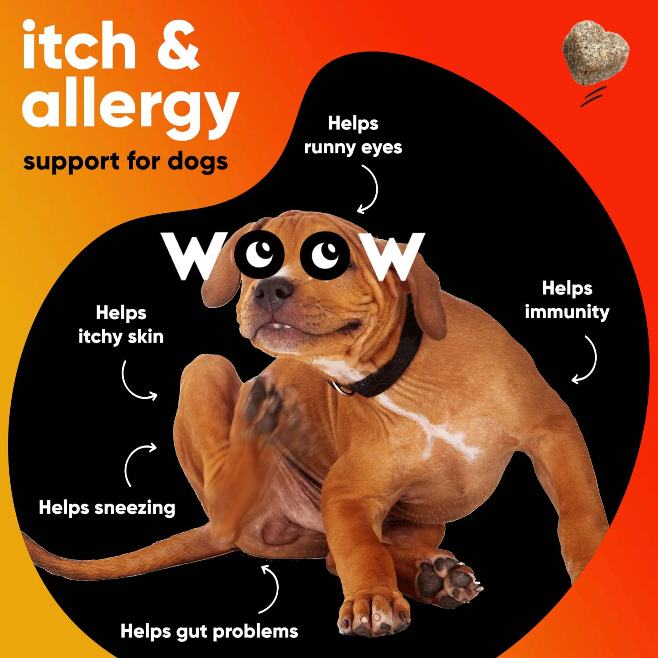 Dr Woow Allergy and Immunity Soft Chews - Image 3