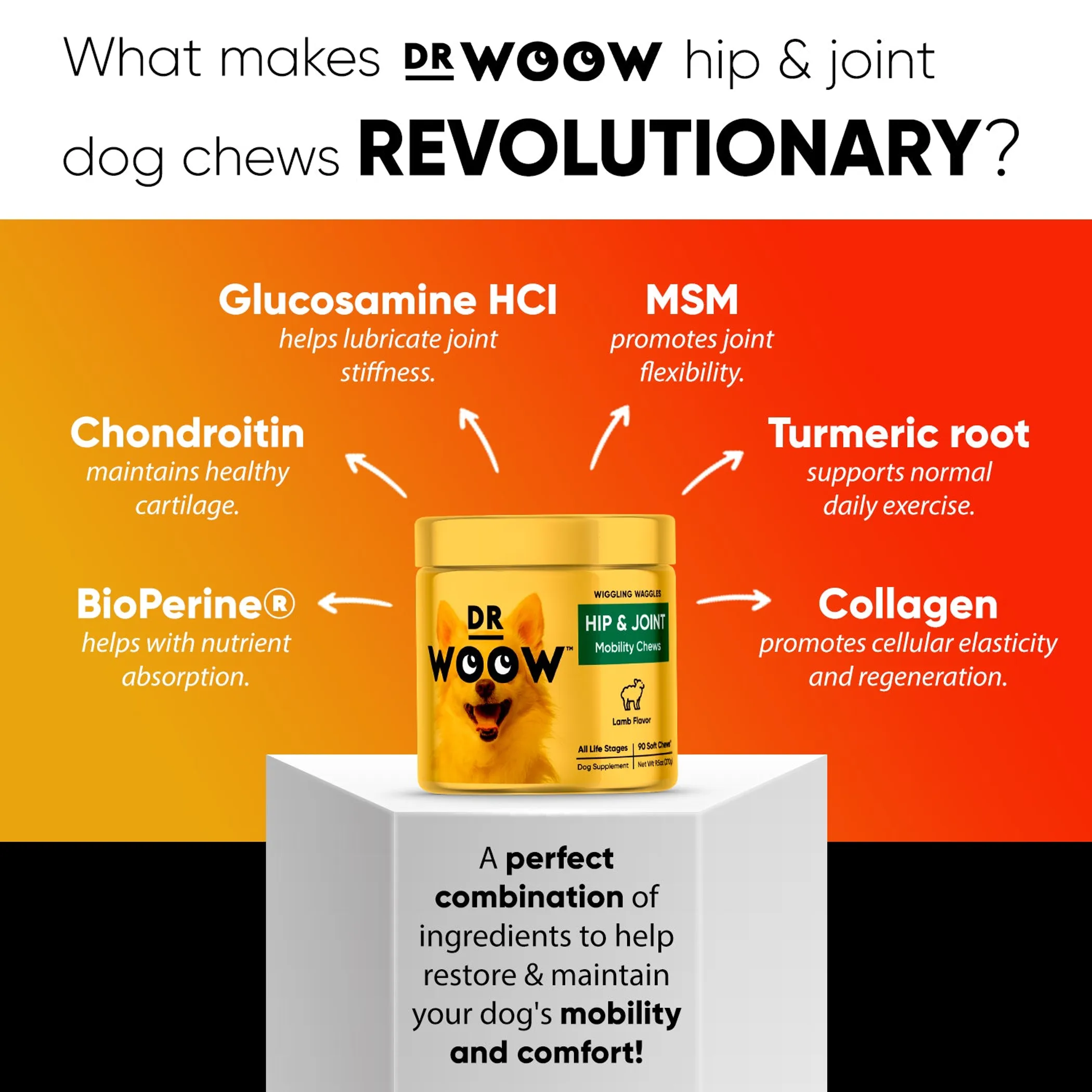 Dr Woow Hip and Joint Support Soft Chews - Image 2