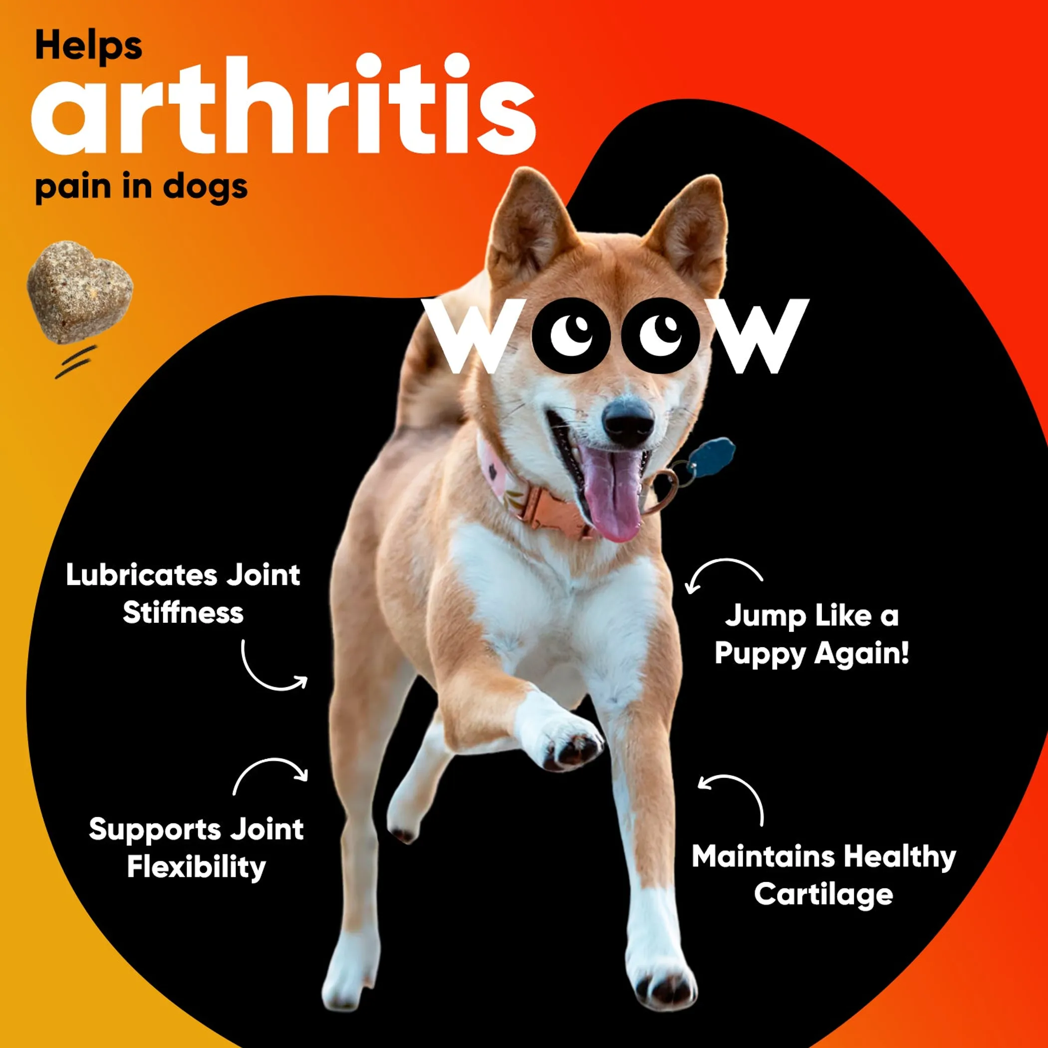 Dr Woow Hip and Joint Support Soft Chews - Image 3
