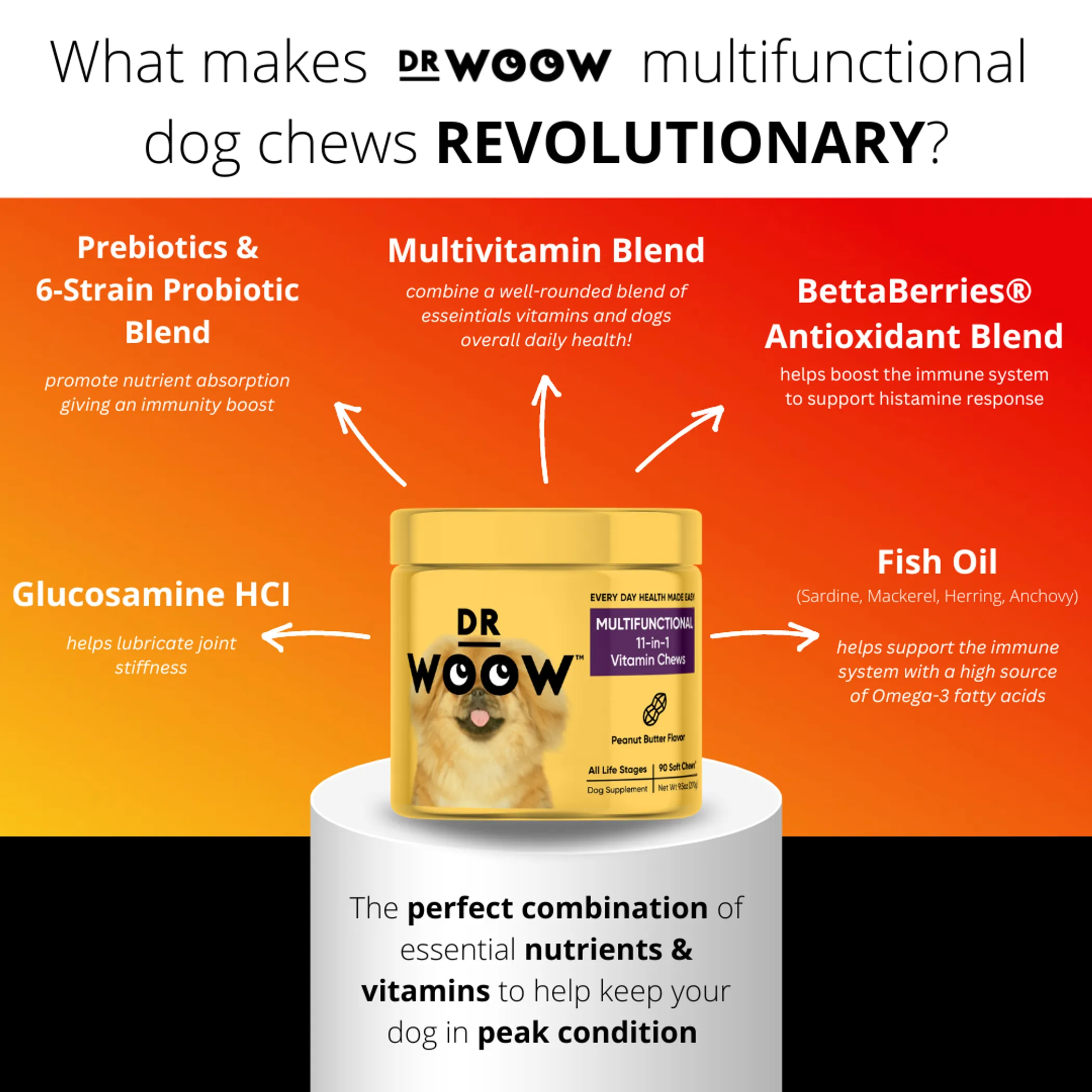 Dr Woow Multifunctional 11-in-1 vitamin chews - Image 2