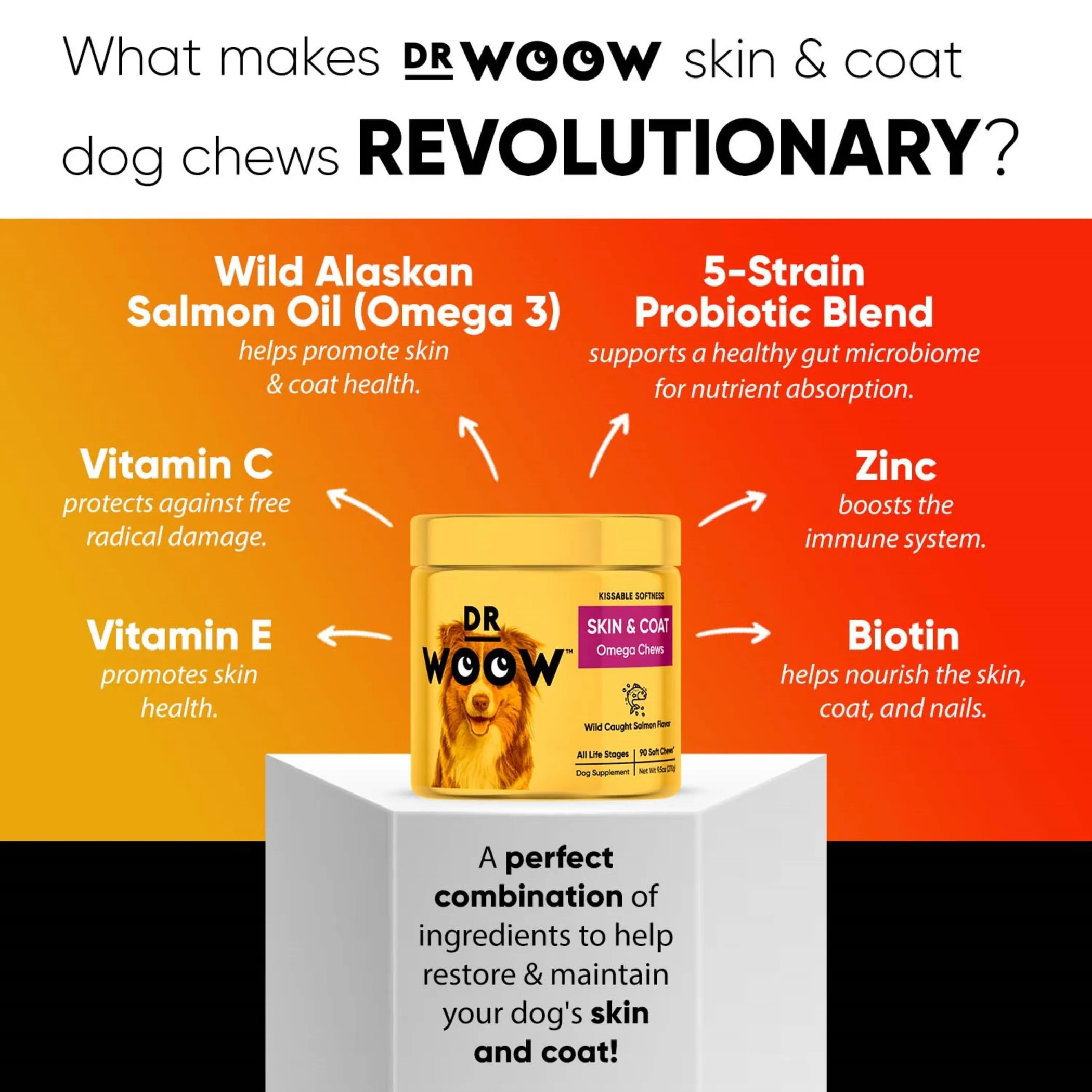 Dr Woow Skin and Coat Soft Chews - Image 2