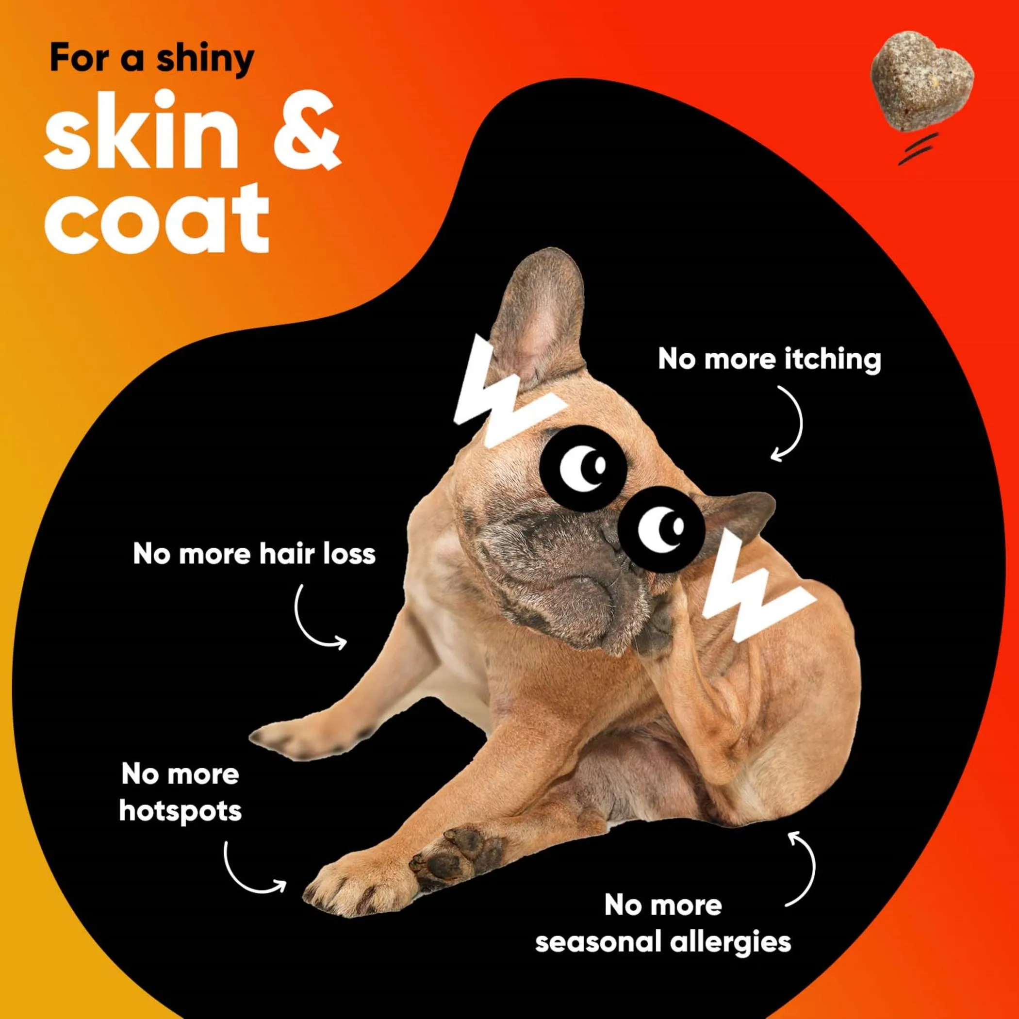 Dr Woow Skin and Coat Soft Chews - Image 3