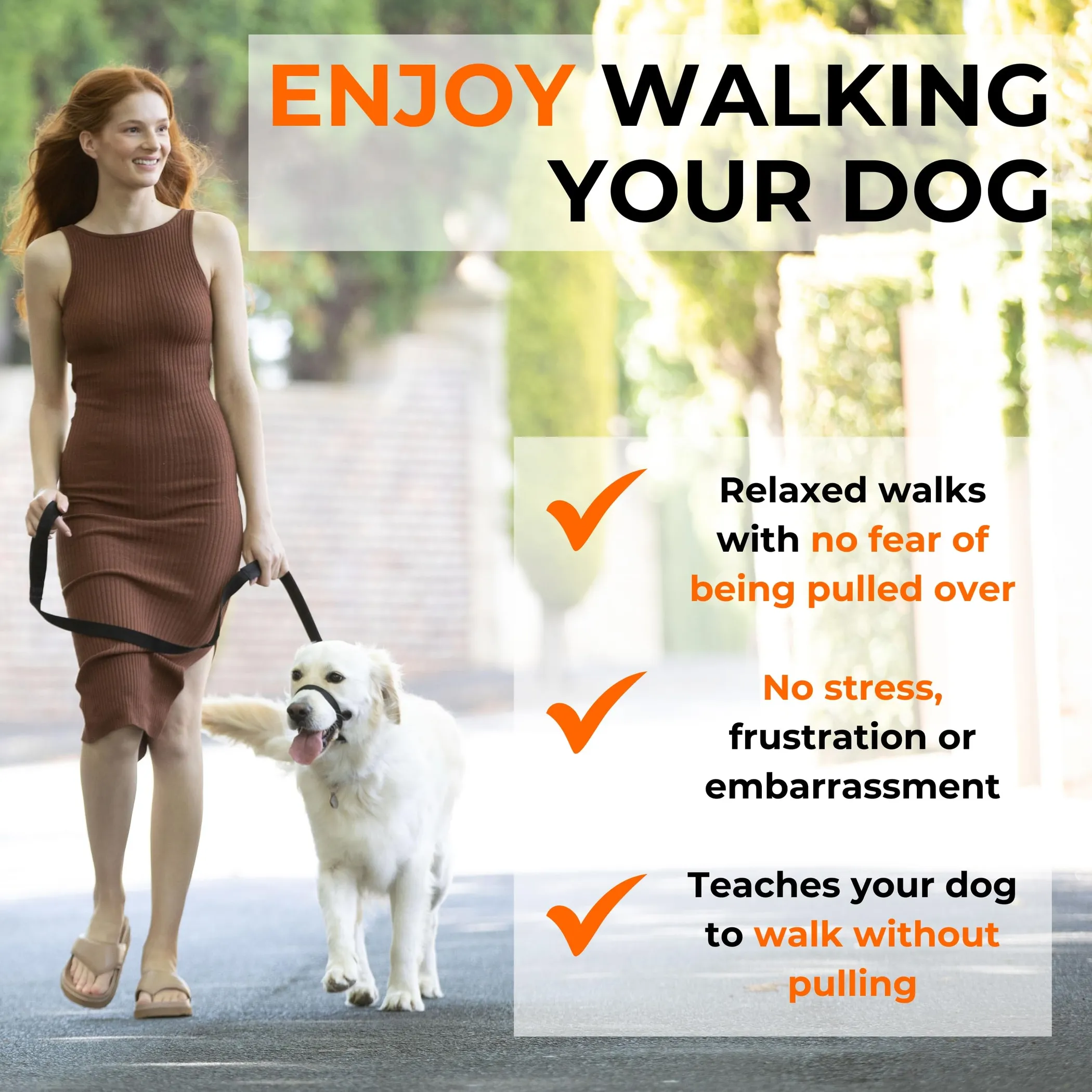 Canny Collar No-Pull Dog Head Collar Gentle & Humane Leash Training Aid - Image 4