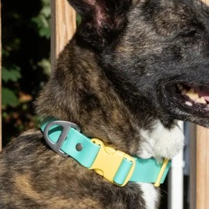 Island Vibes Waterproof Dog Collar