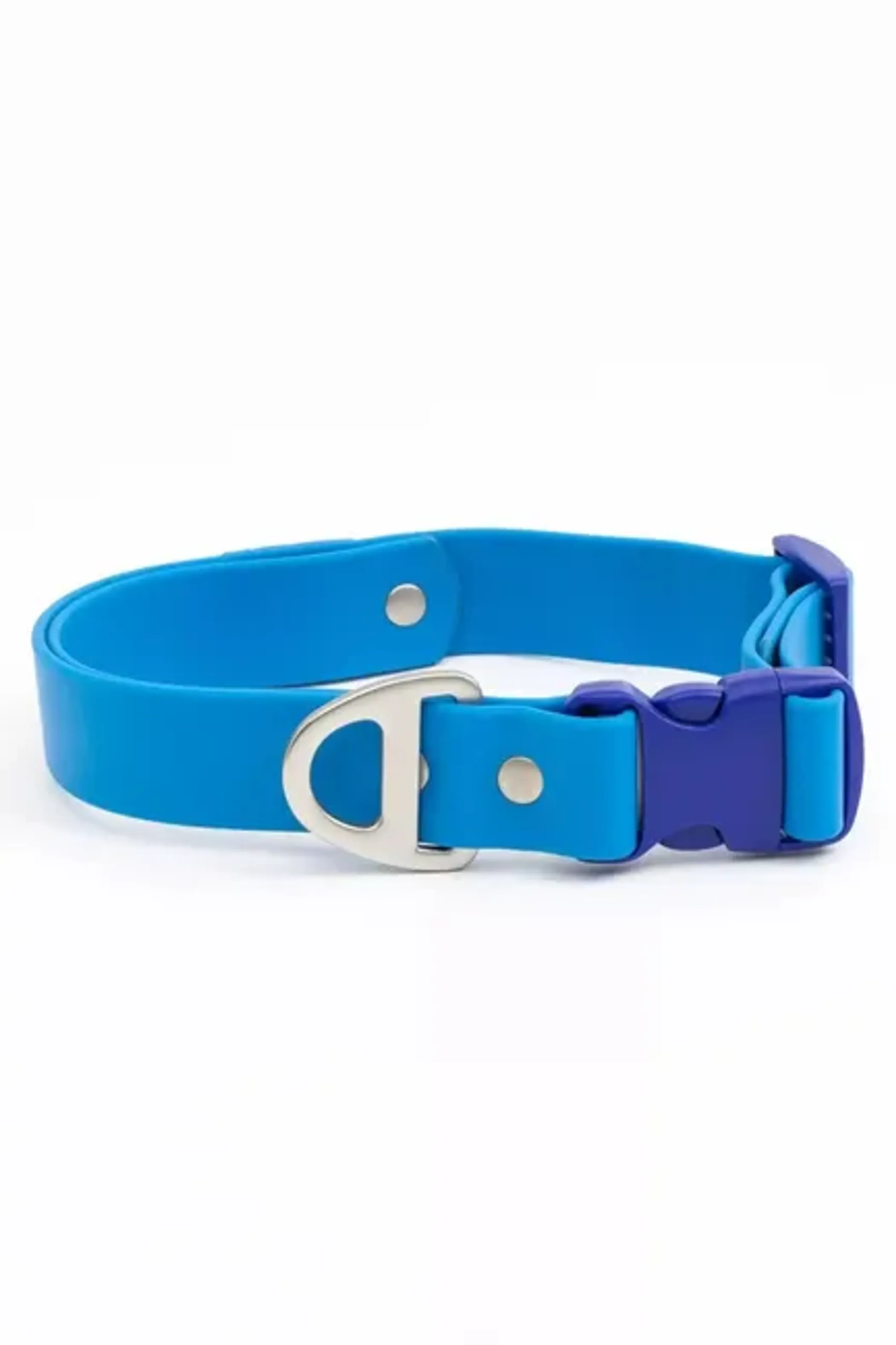 Dockside Adventures Waterproof Dog Collar - Image 2