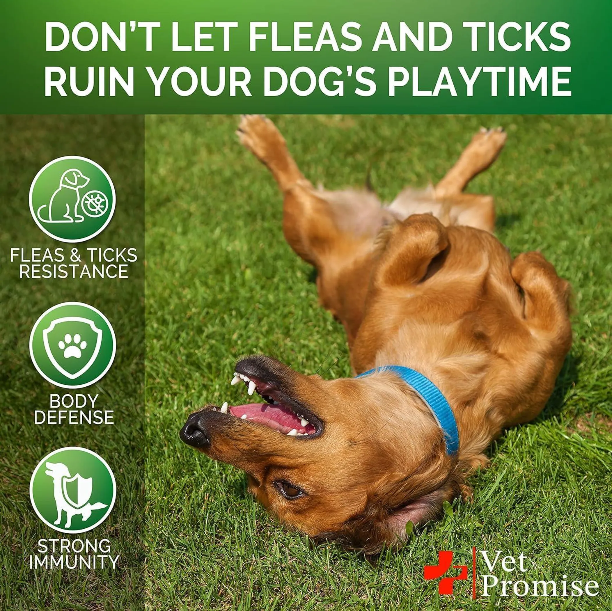 Flea and Tick Prevention for Dogs Chews Natural Dog - Image 4