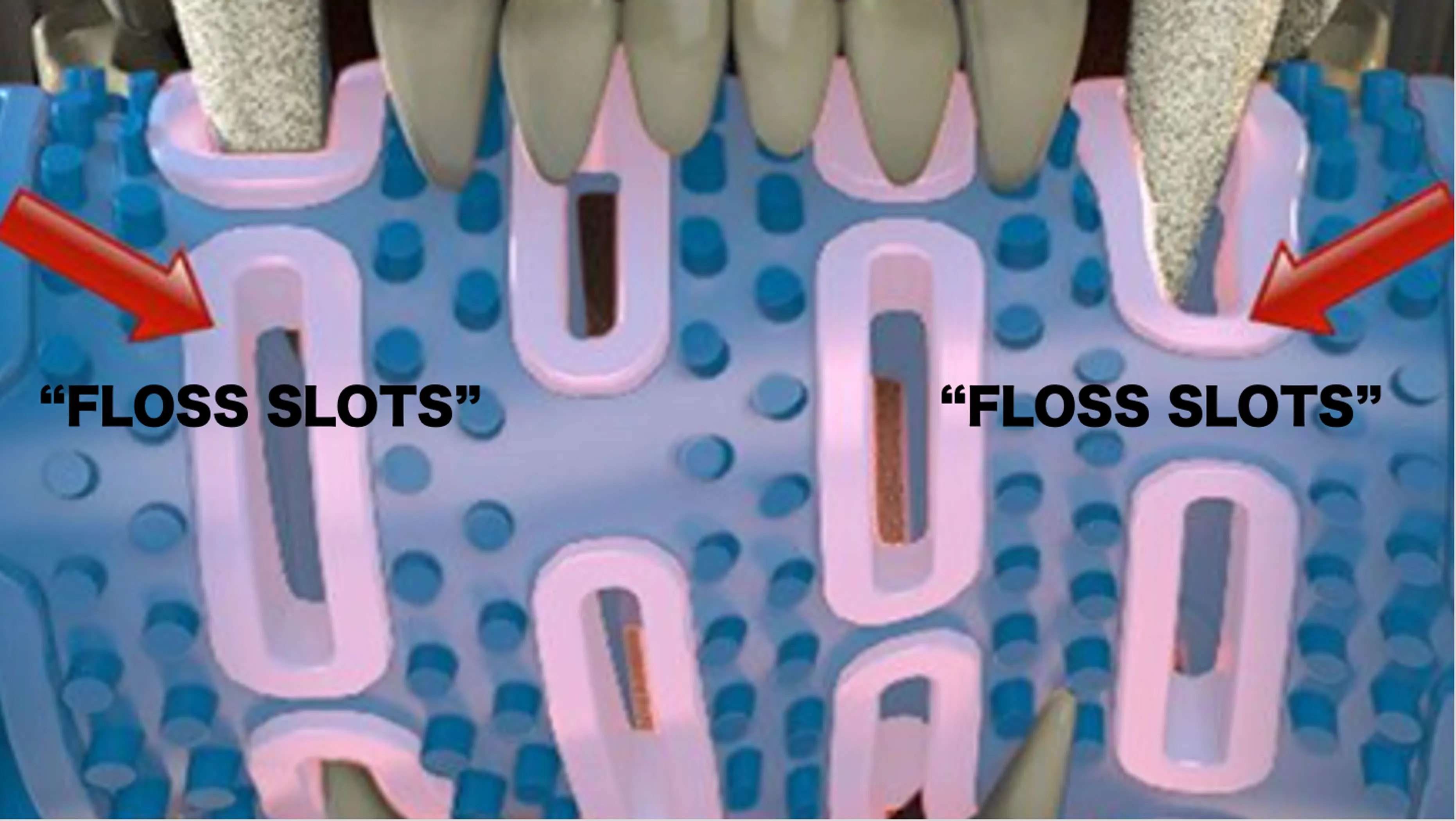 Natural Rubber Bone Toothbrush Toy - Image 4