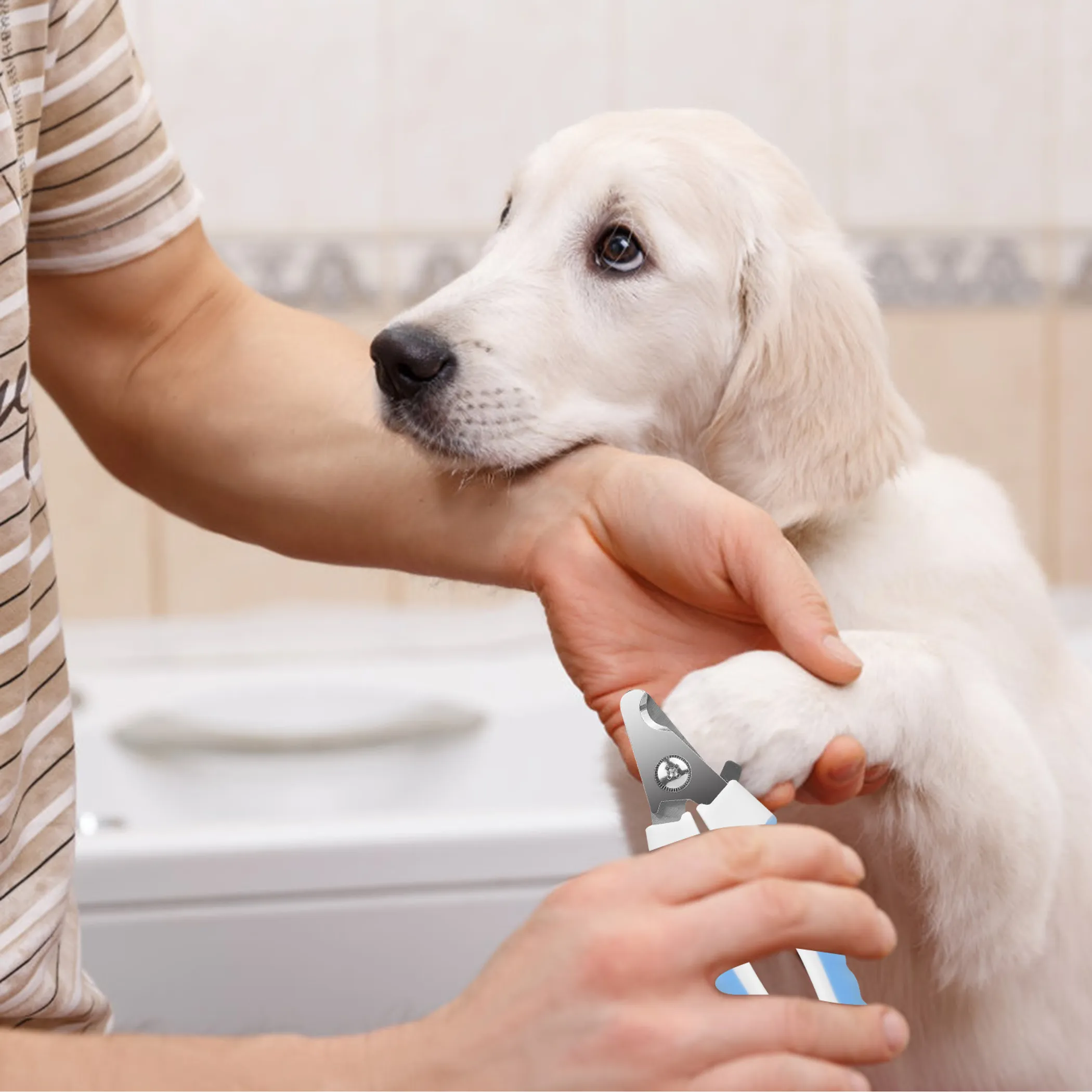 Dog Nail Clippers Pet - Image 5