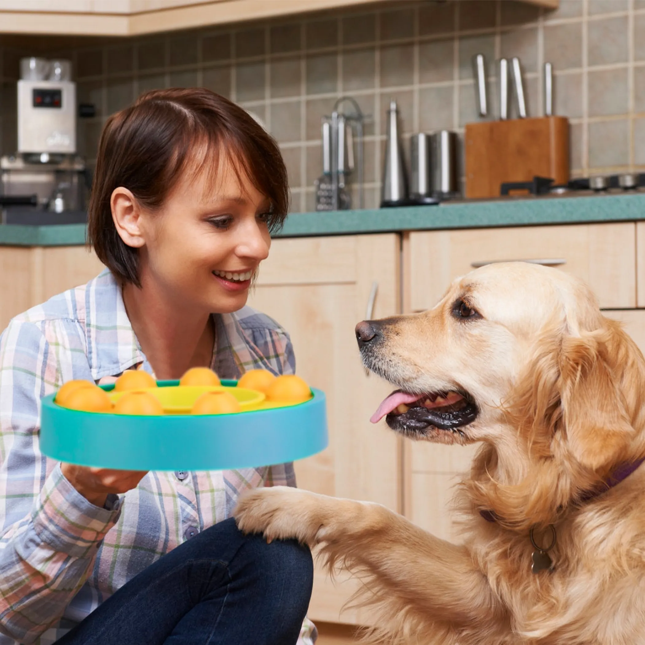 Dog Puzzle Food Feeder Slow Feeding Bowl - Image 2