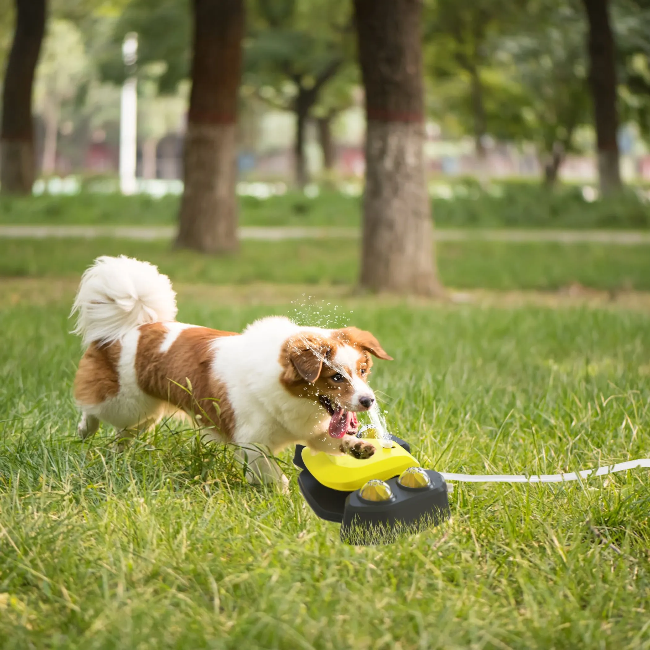 Dog Water Fountain Multifunctional Automatic Pet - Image 2