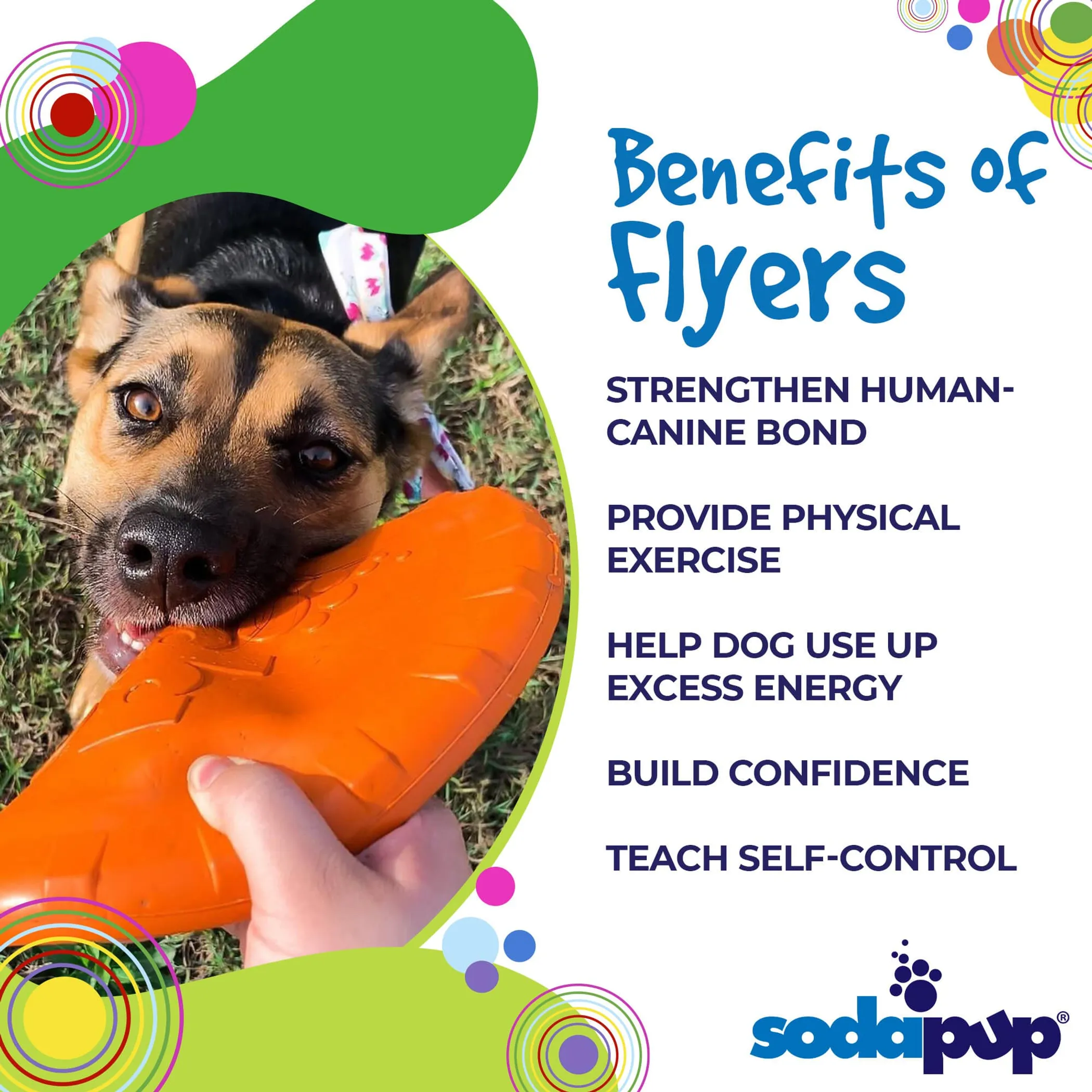 SP Bottle Top Flyer Durable Rubber Retrieving Frisbee - Image 3