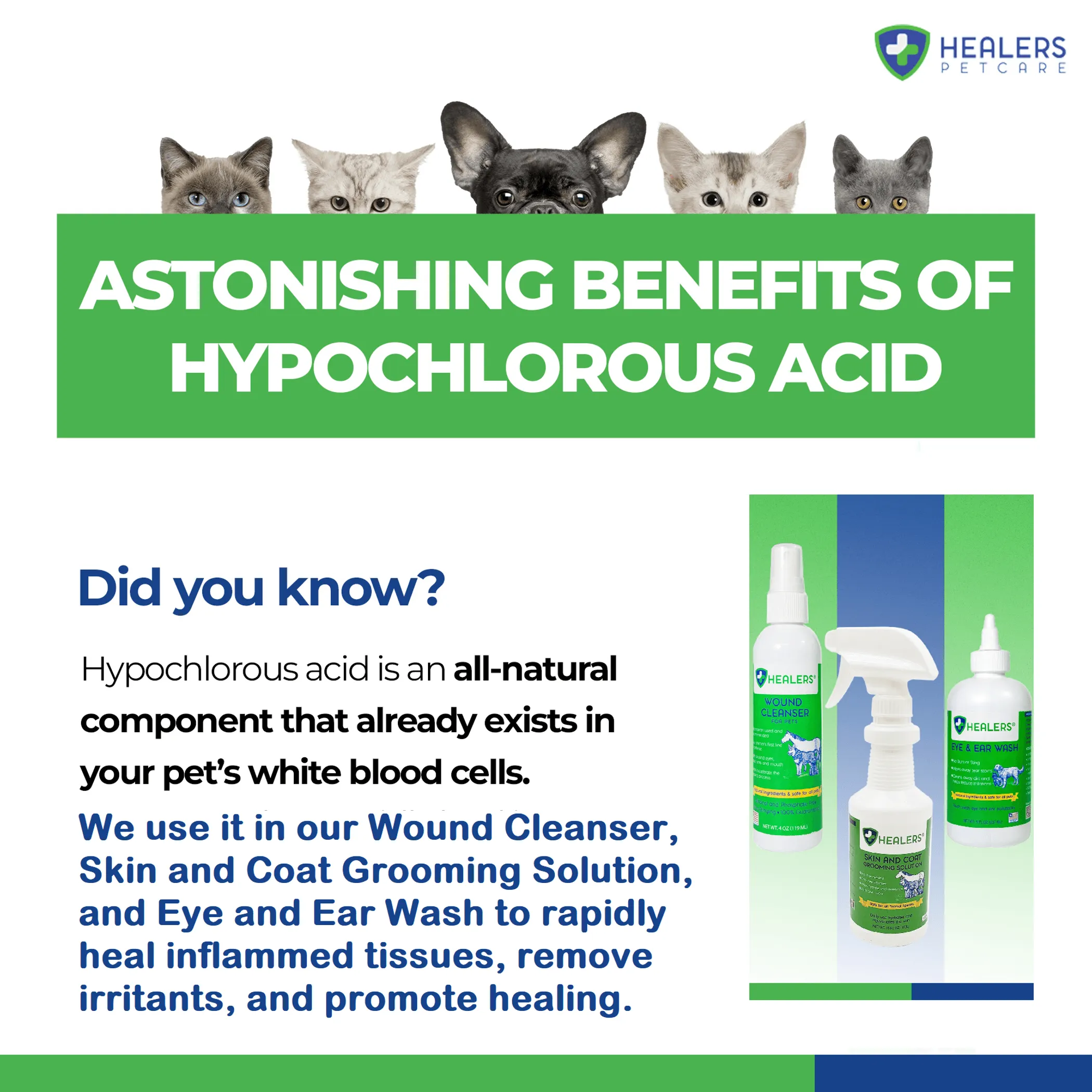Healers Skin & Coat Grooming Solution - Image 4