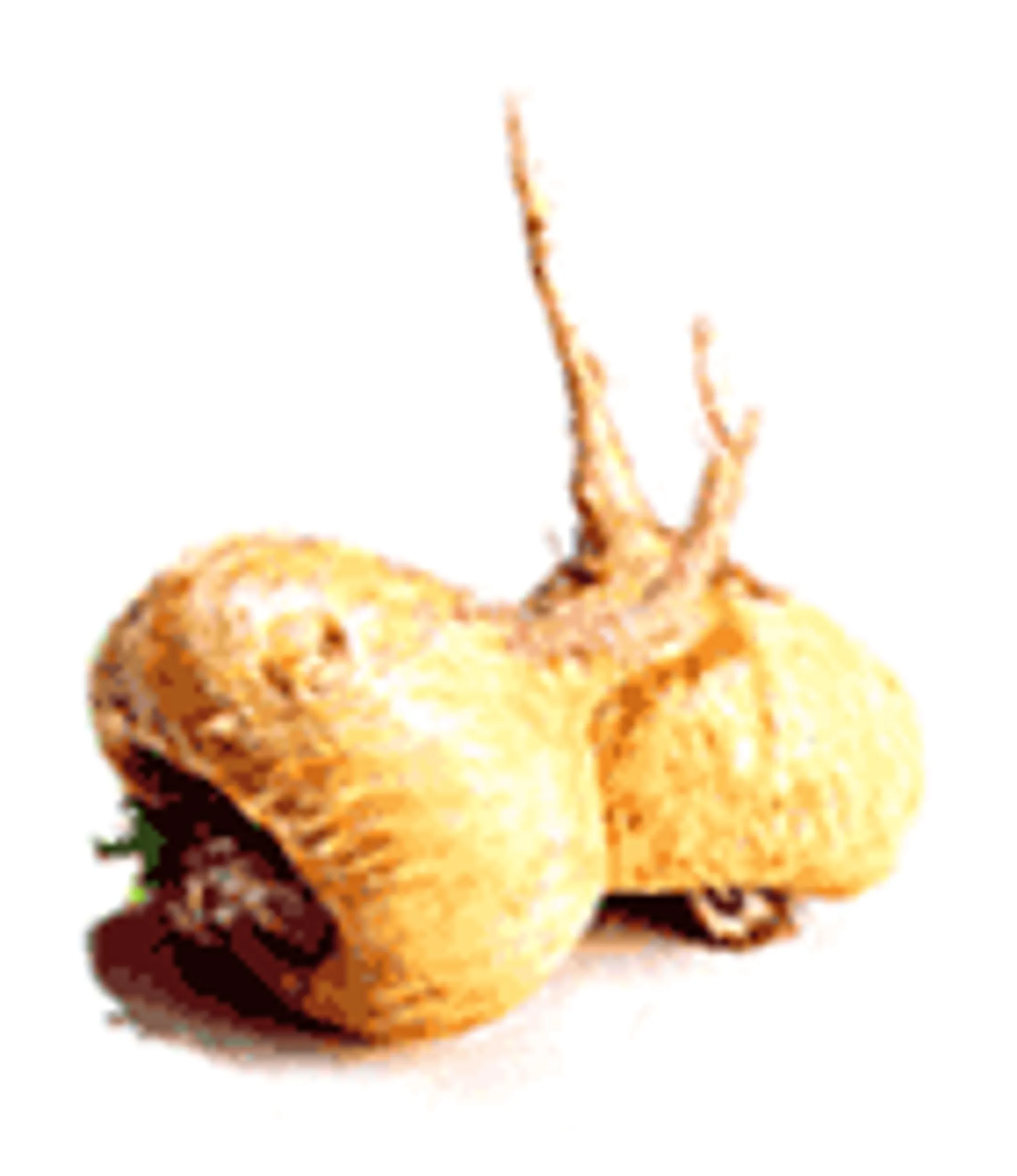 Dogs Love Maca - Organic Flavored Meal Topper For Dogs * Maca For Cats* - Image 2