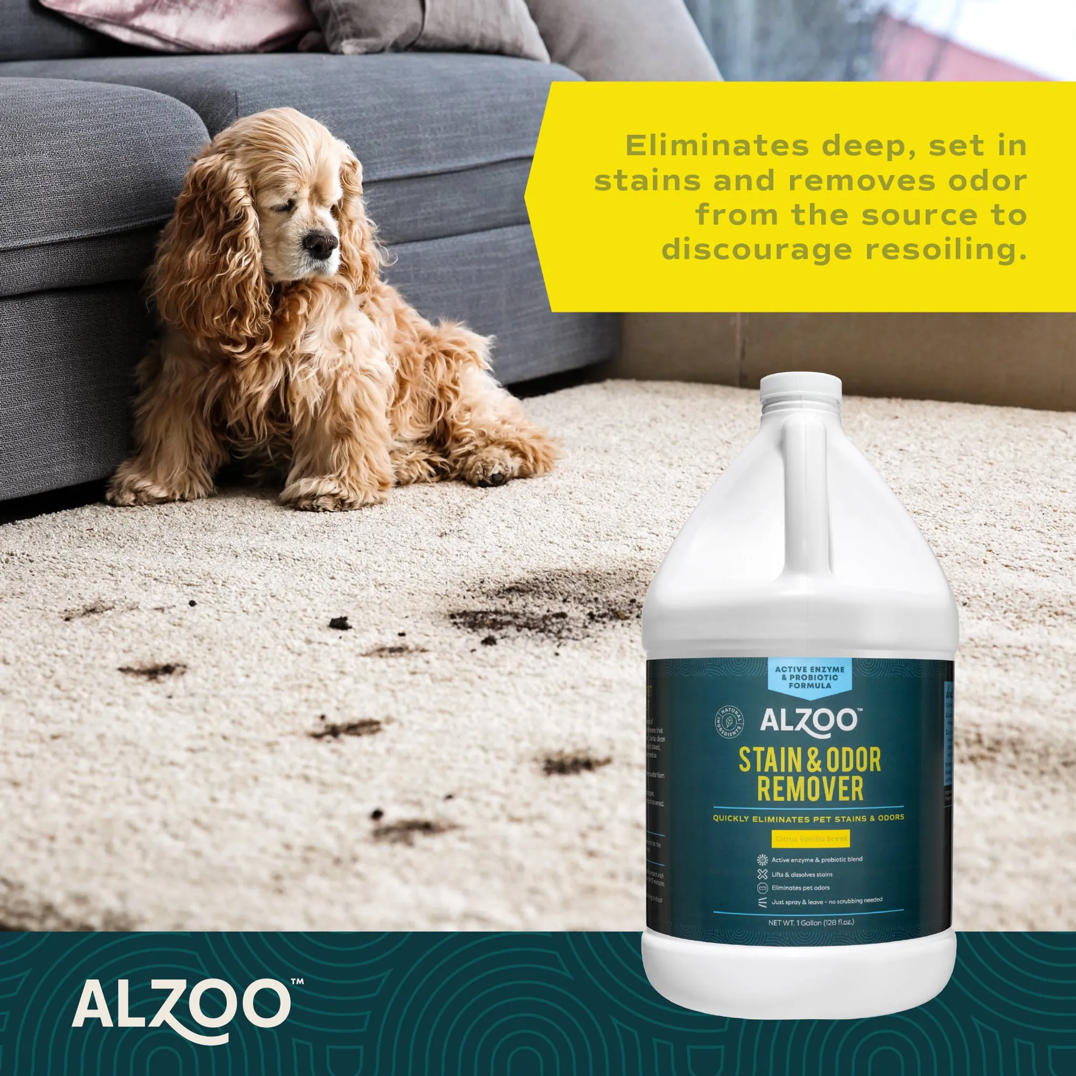 ALZOO Enzyme Stain & Odor Remover Citrus Vanilla, 16oz - Image 4