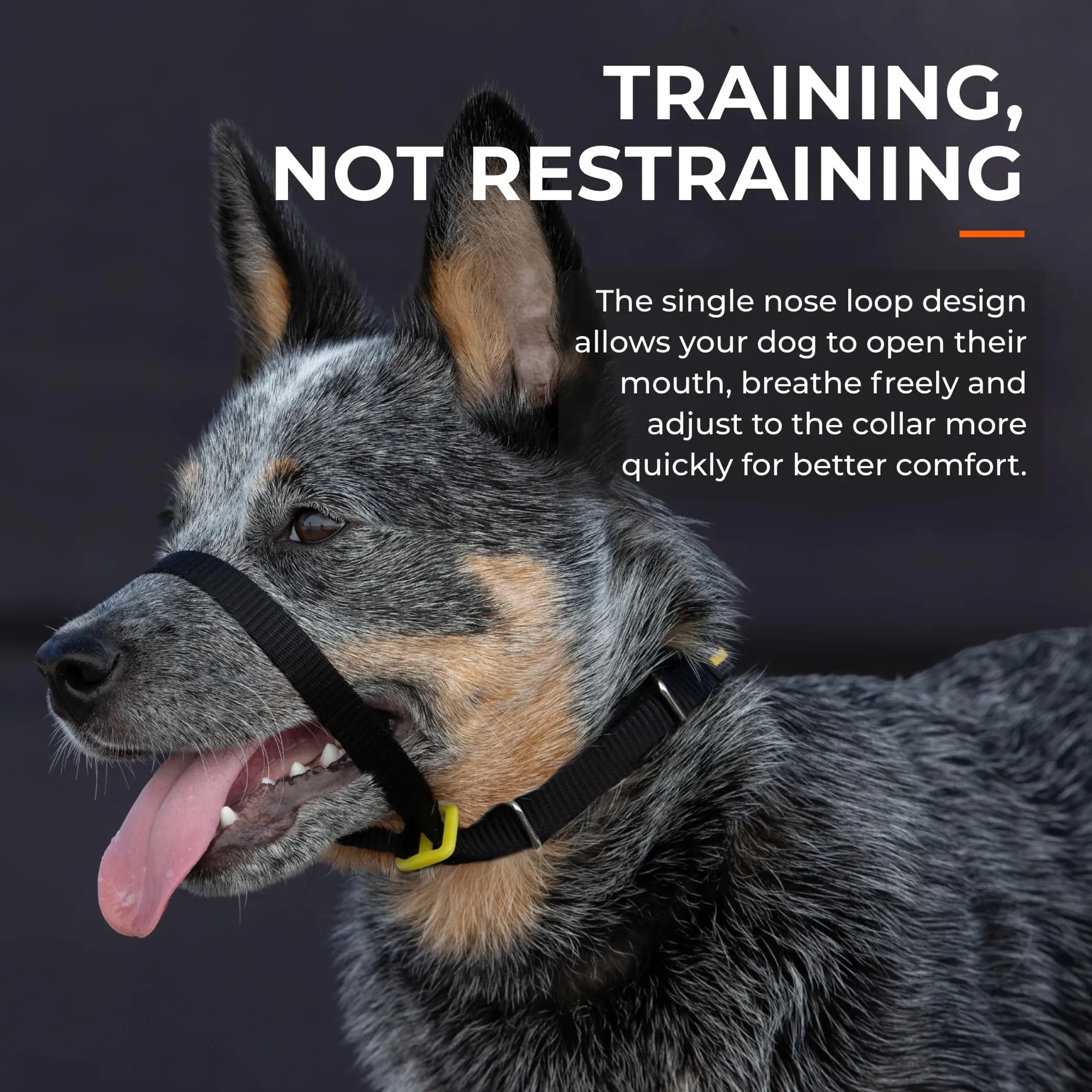 Canny Collar No-Pull Dog Head Collar Gentle & Humane Leash Training Aid - Image 5