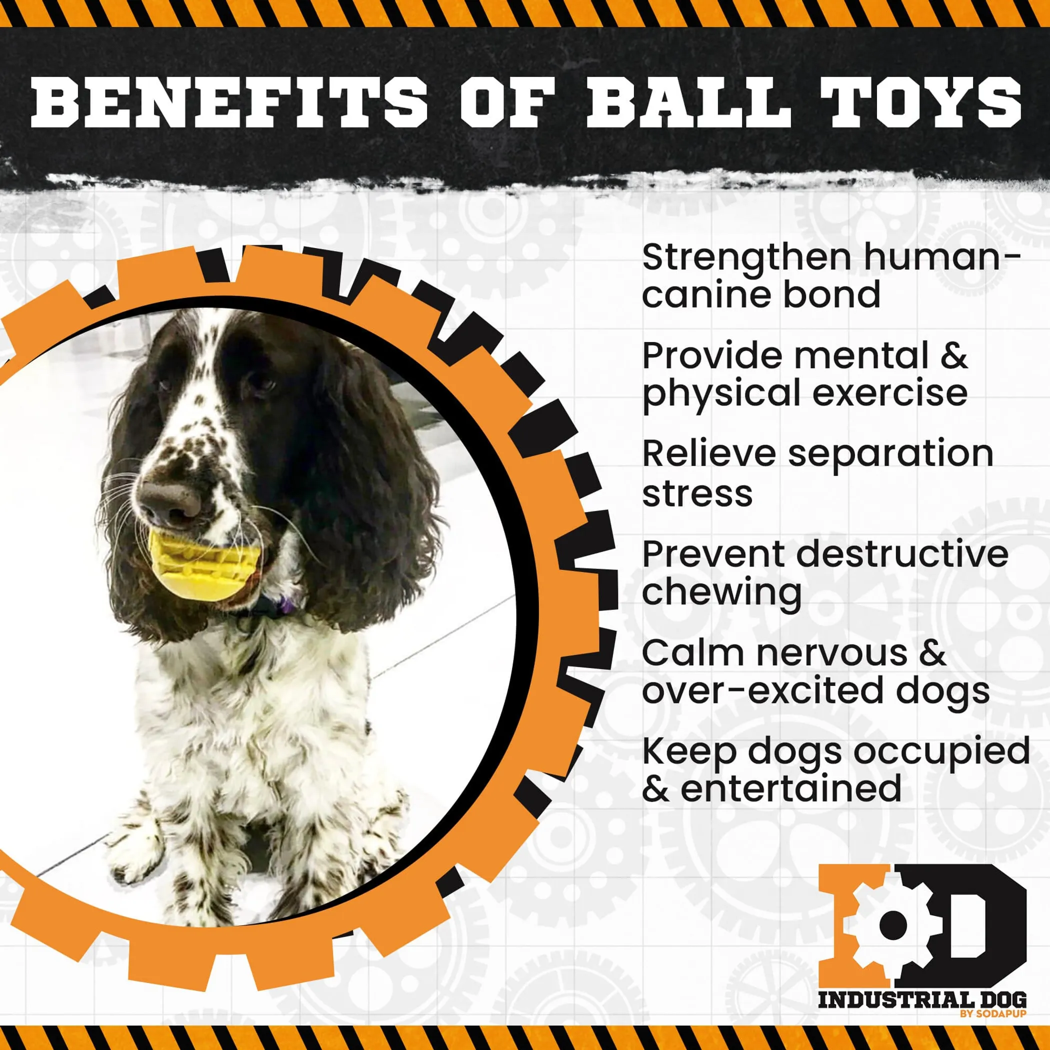 ID Ball - Ultra-Durable Rubber Chew Ball - Image 3