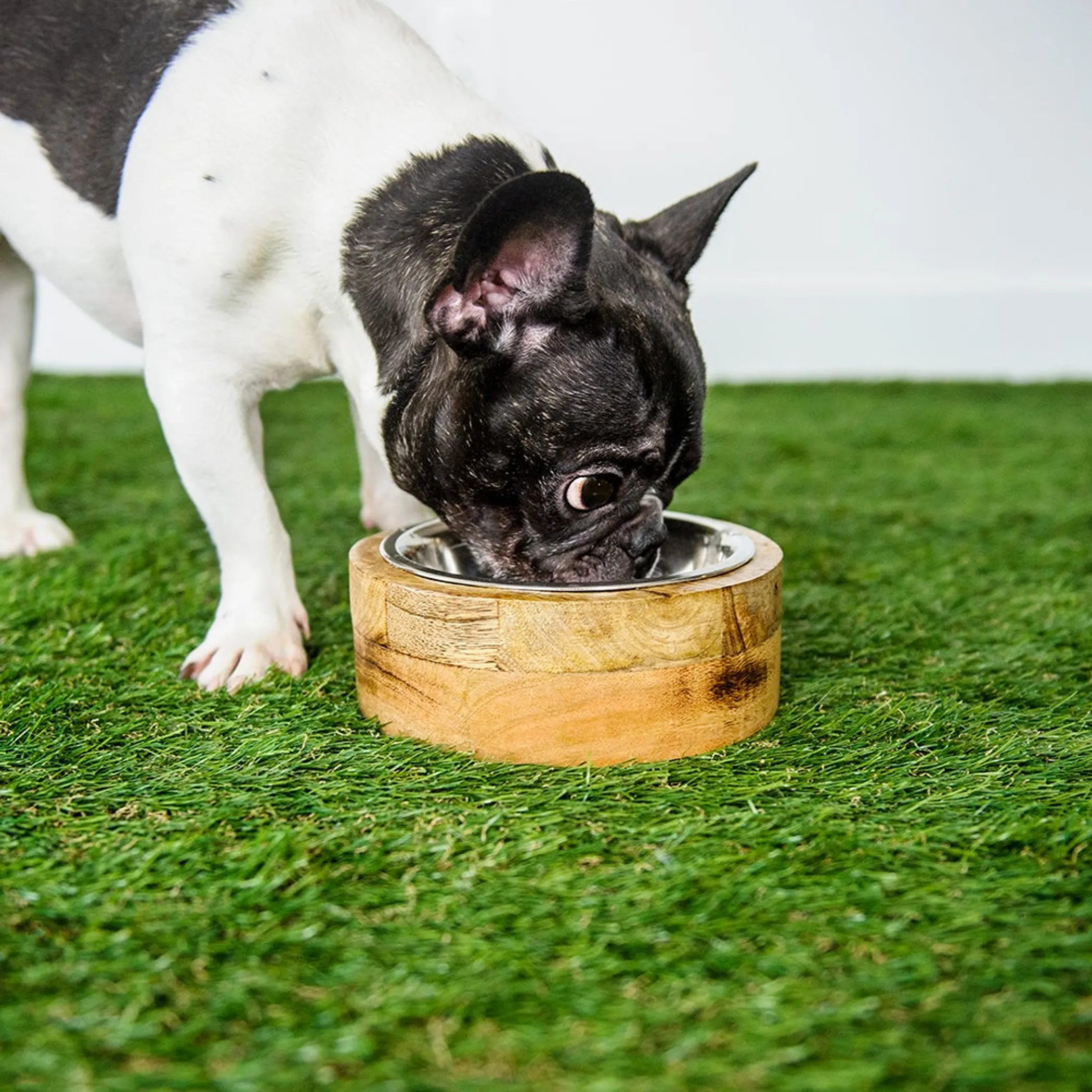 GF Pet Mango Wood Bowl Single - Image 2