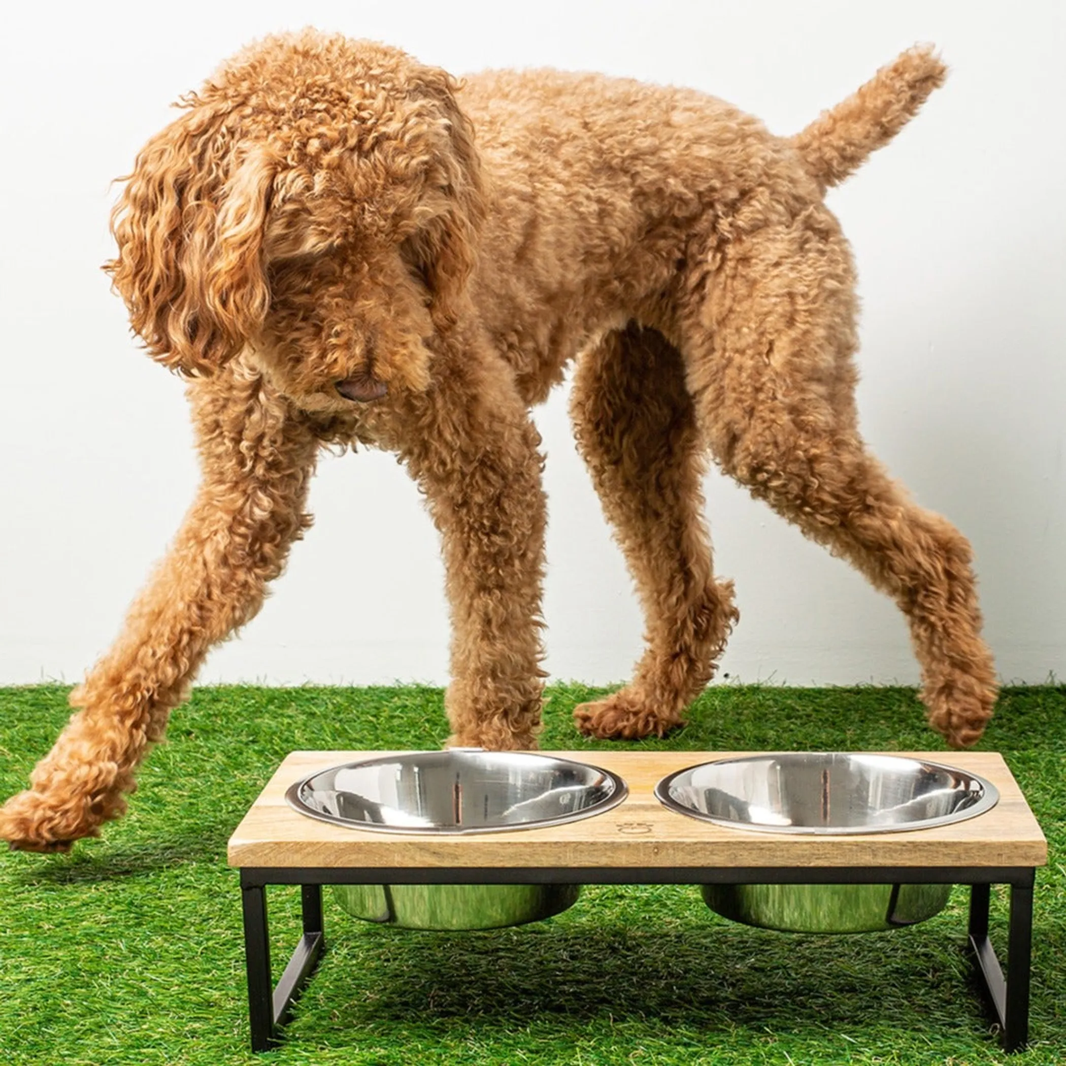 GF Pet Wood & Metal Elevated Feeder - Image 4
