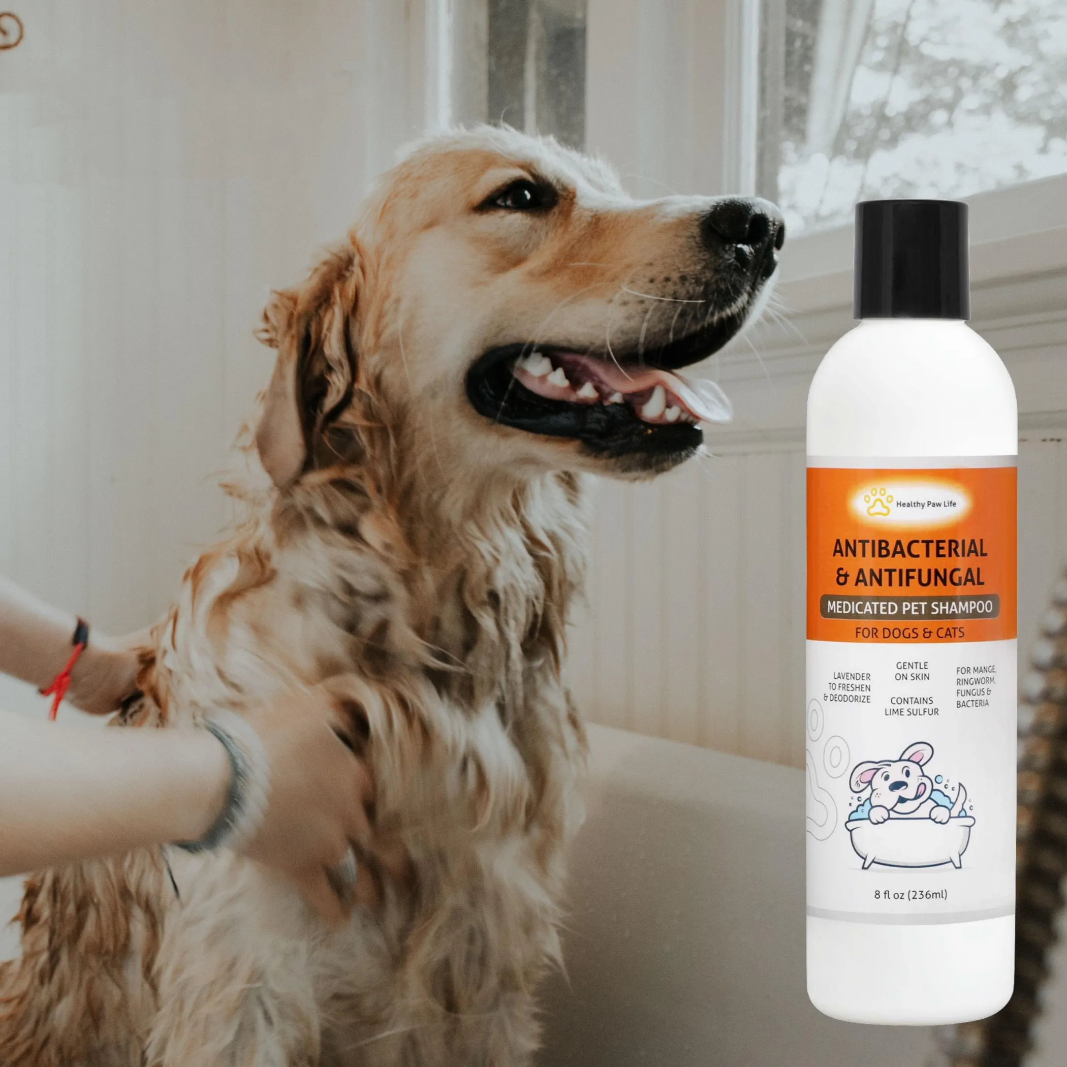 Classic's Medicated Pet Shampoo - Veterinary Treatment Against Ringworm, Mange, Lice, and Dry Skin - Image 2