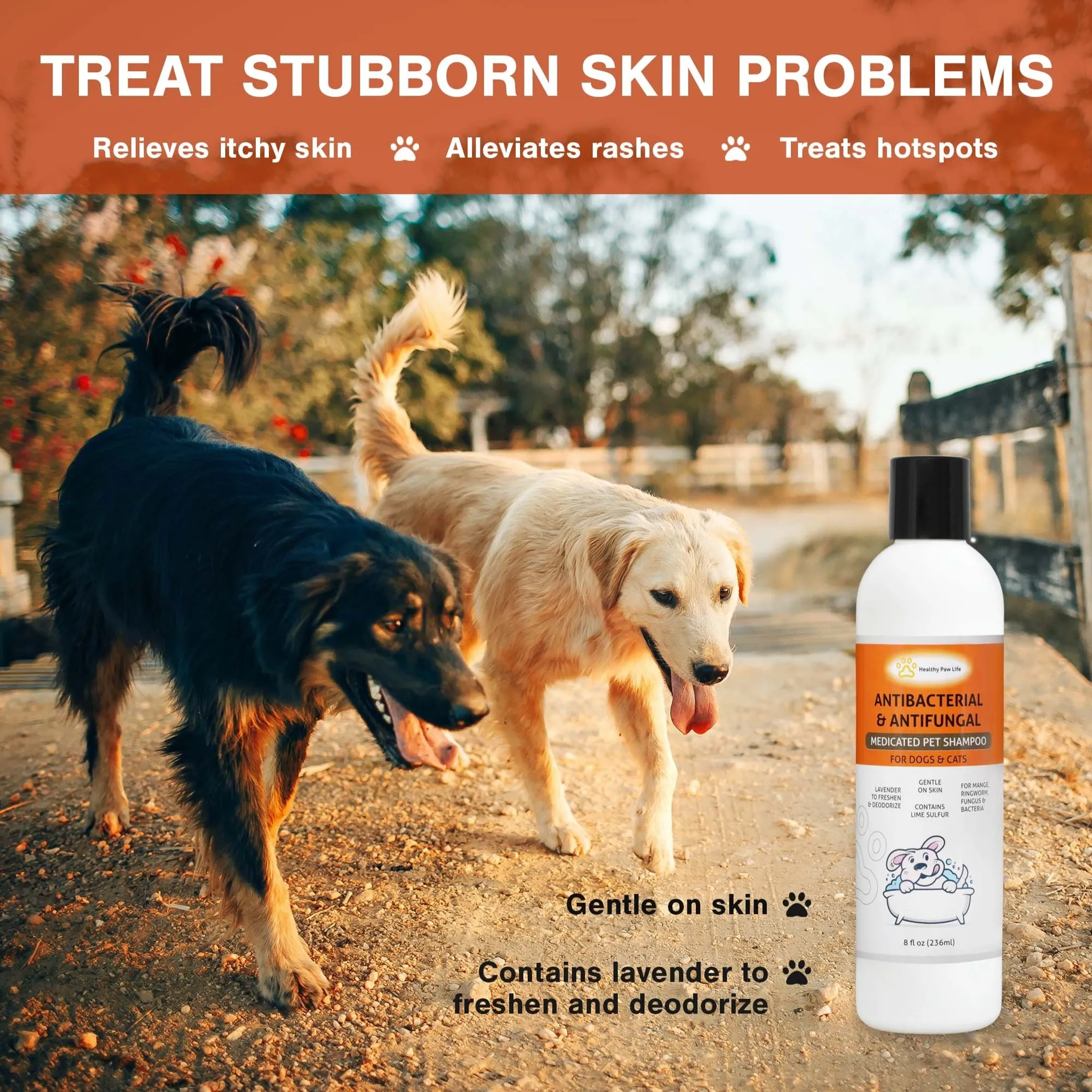 Classic's Medicated Pet Shampoo - Veterinary Treatment Against Ringworm, Mange, Lice, and Dry Skin - Image 3