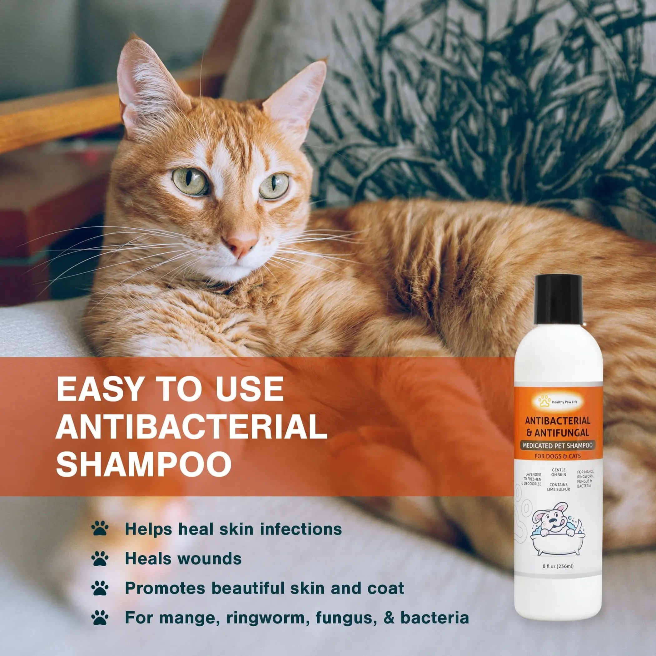 Classic's Medicated Pet Shampoo - Veterinary Treatment Against Ringworm, Mange, Lice, and Dry Skin - Image 4