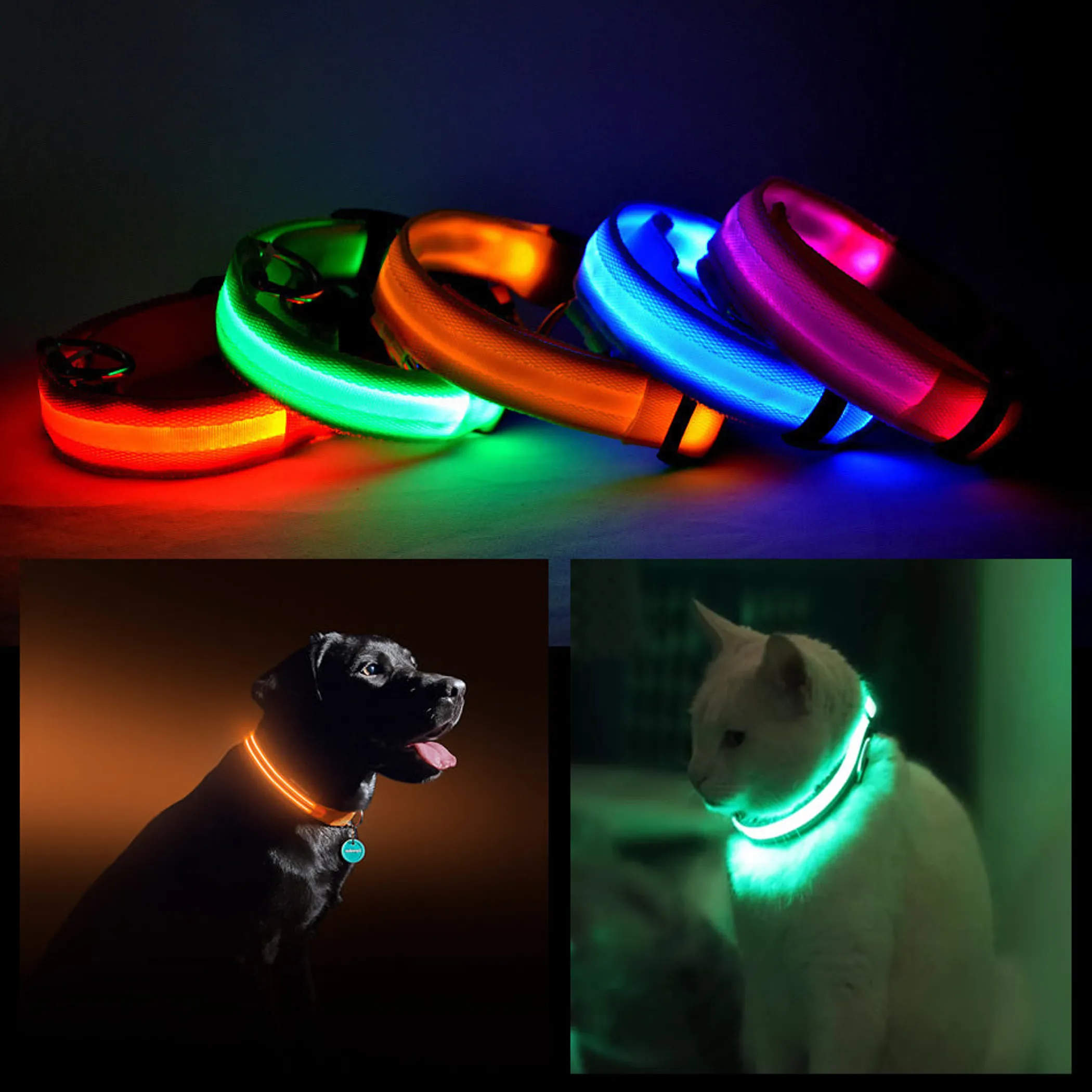 LED PET Safety Halo Style Collar - Image 3