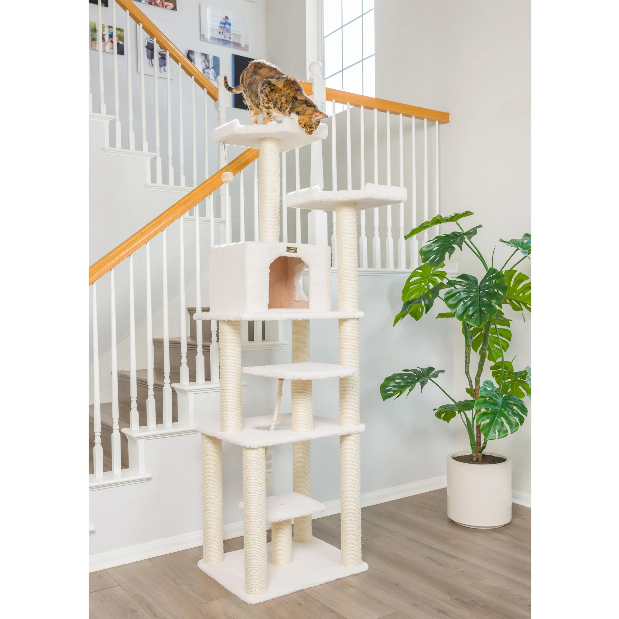 Real Wood B7801 Classic Cat Tree In Ivory 6 Levels Playhouse - Image 3