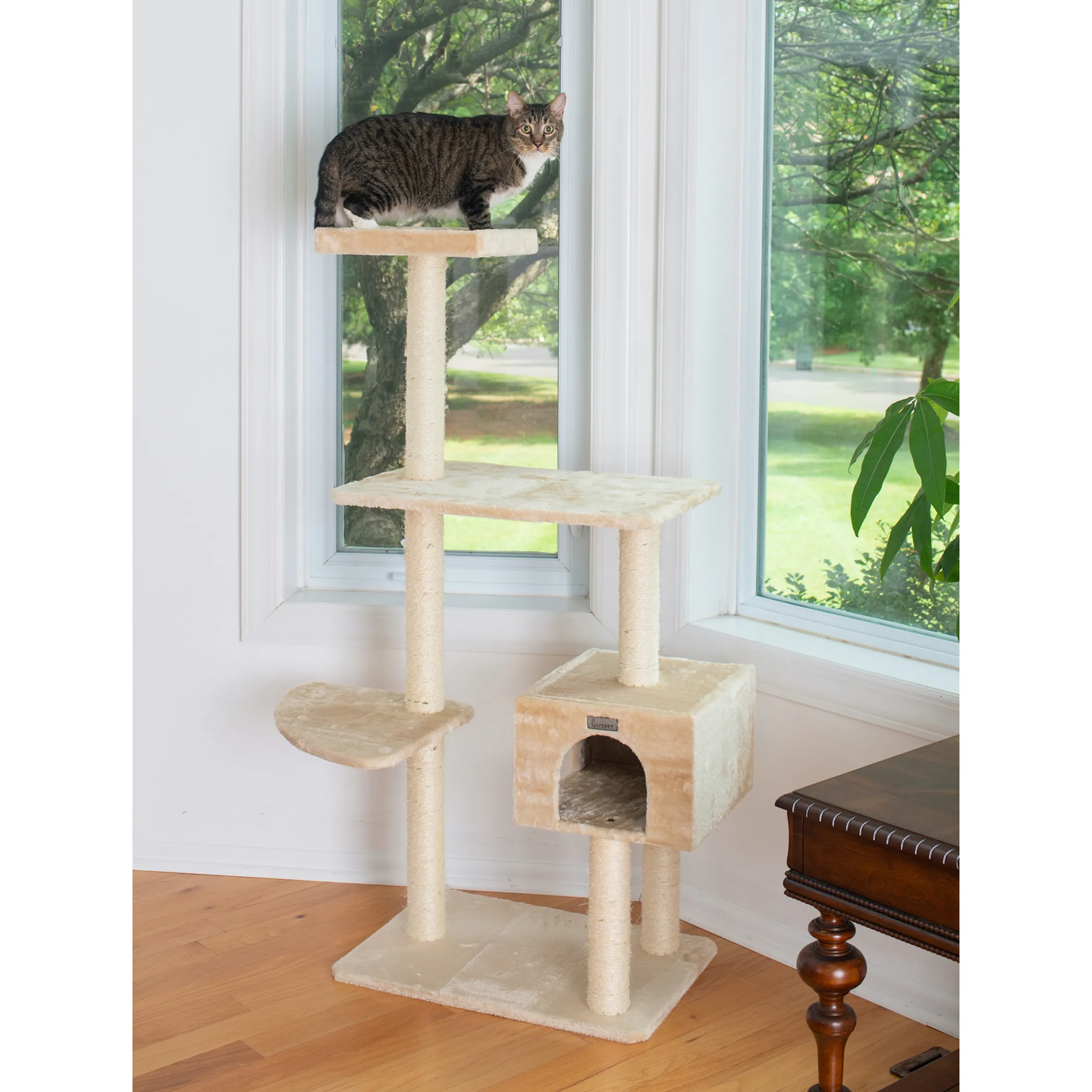 GleePet 57-Inch Cat Tree Real Wood Cat Perches Bge - Image 4