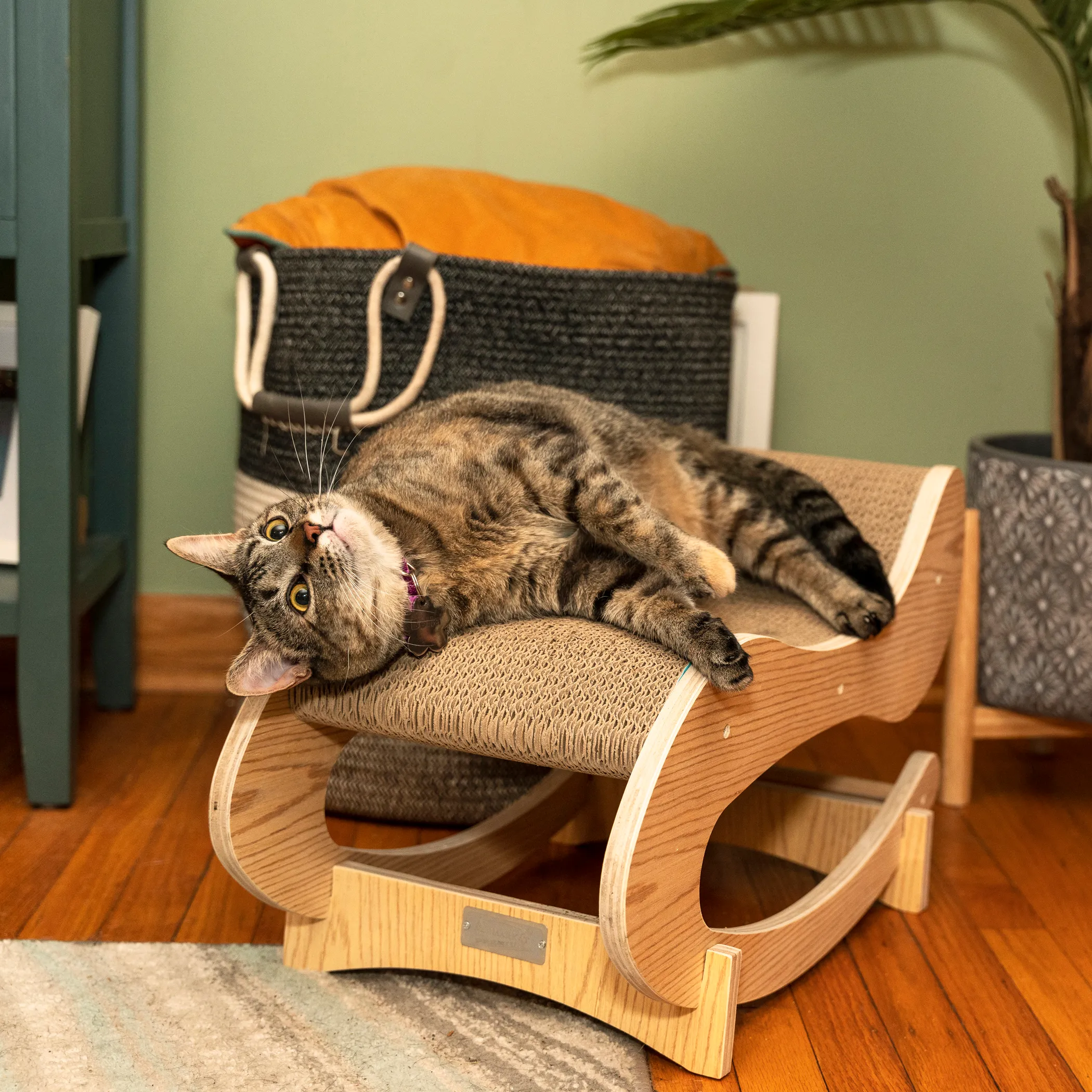 Medium Cat Rocking Chair, Detachable Cat Swing Chair S1302 - Image 4