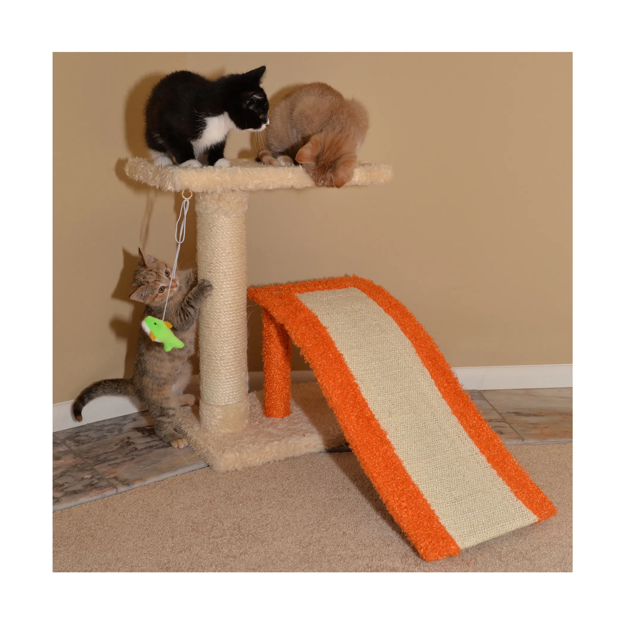 Armarkat Two Level Platform Scratcher W Sisal Carpet Ramp - Image 3