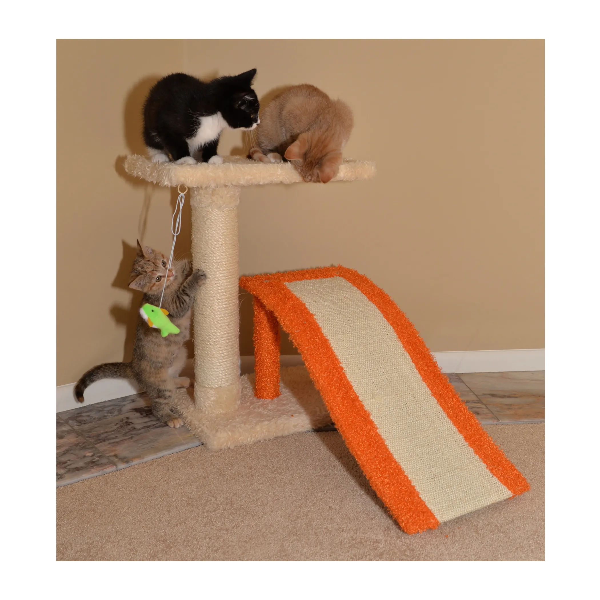 Armarkat Two Level Platform Scratcher W Sisal Carpet Ramp - Image 4