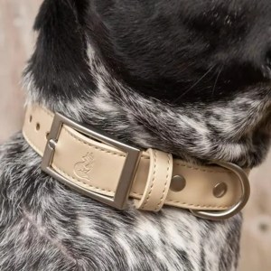 Champagne Fizz Vegan Leather Dog Collar
