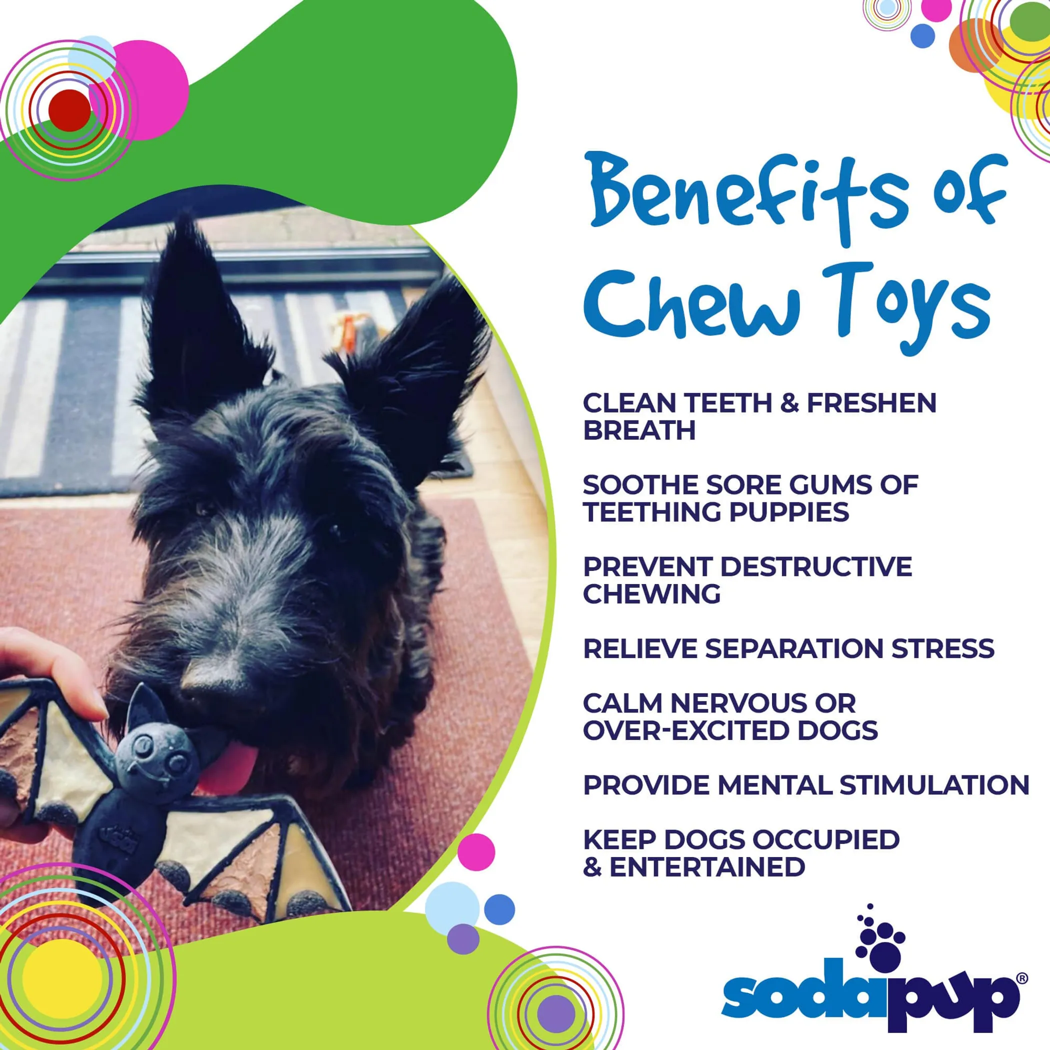 SodaPup Vampire Bat Ultra Durable Nylon Dog Chew Toy for Aggressive Chewers - Image 4
