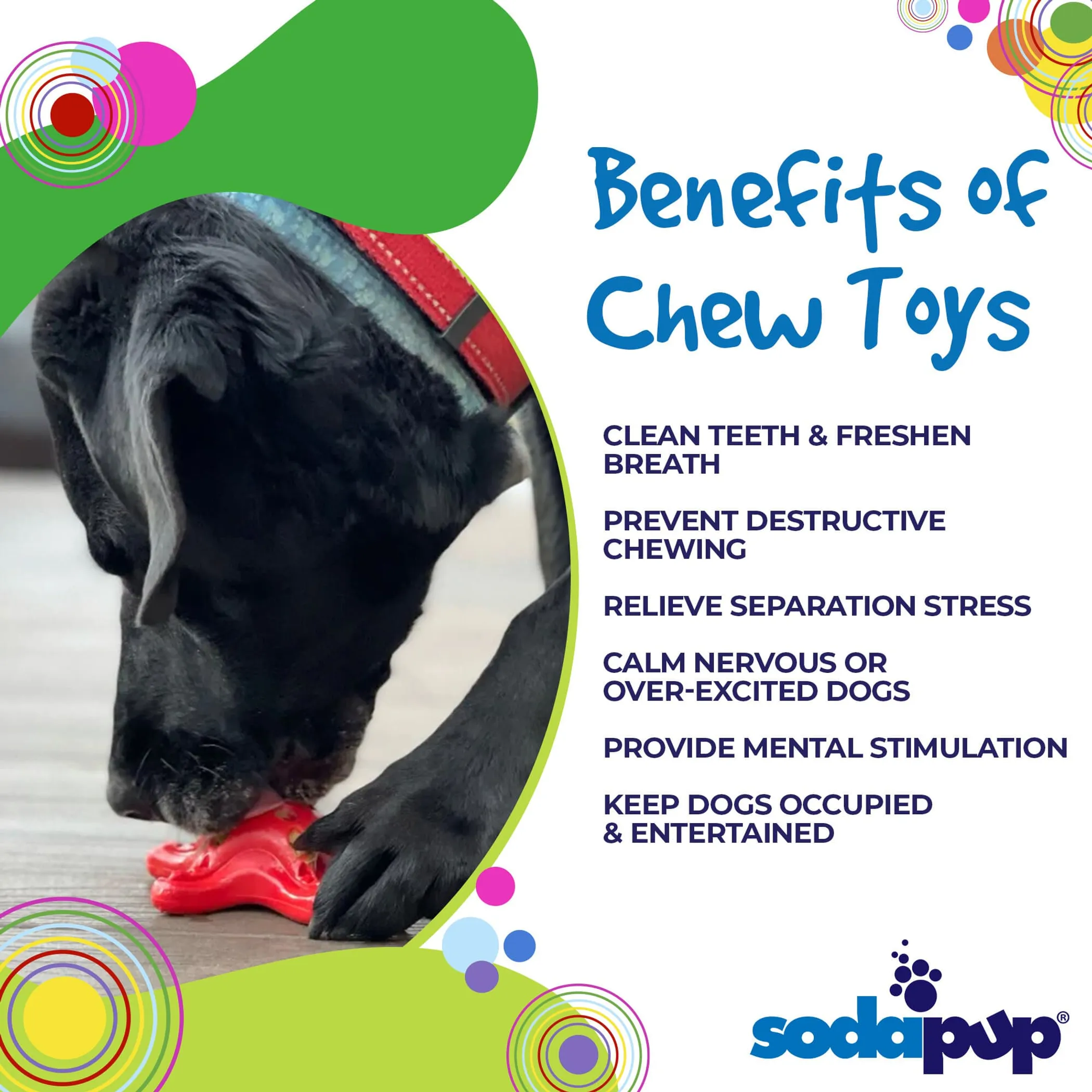 Starfish Ultra Durable Nylon Dog Chew Toy for Aggressive Chewers - Image 5