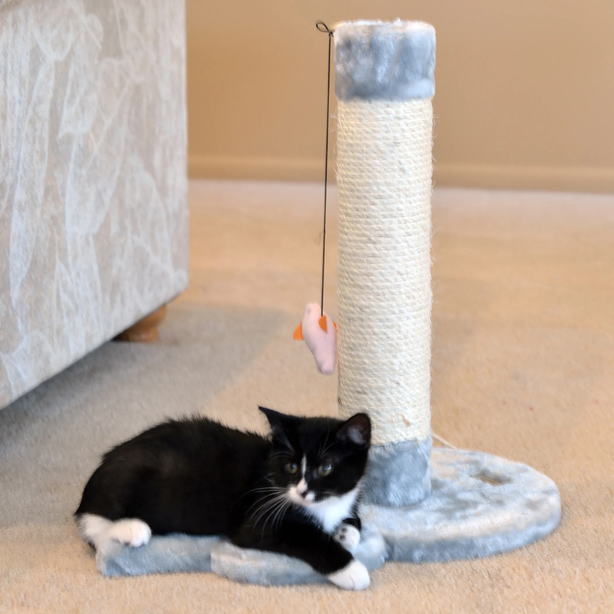 Real Wood Mouse Shape Cat Scratcher Toy, Kitty Sisal Post - Image 3