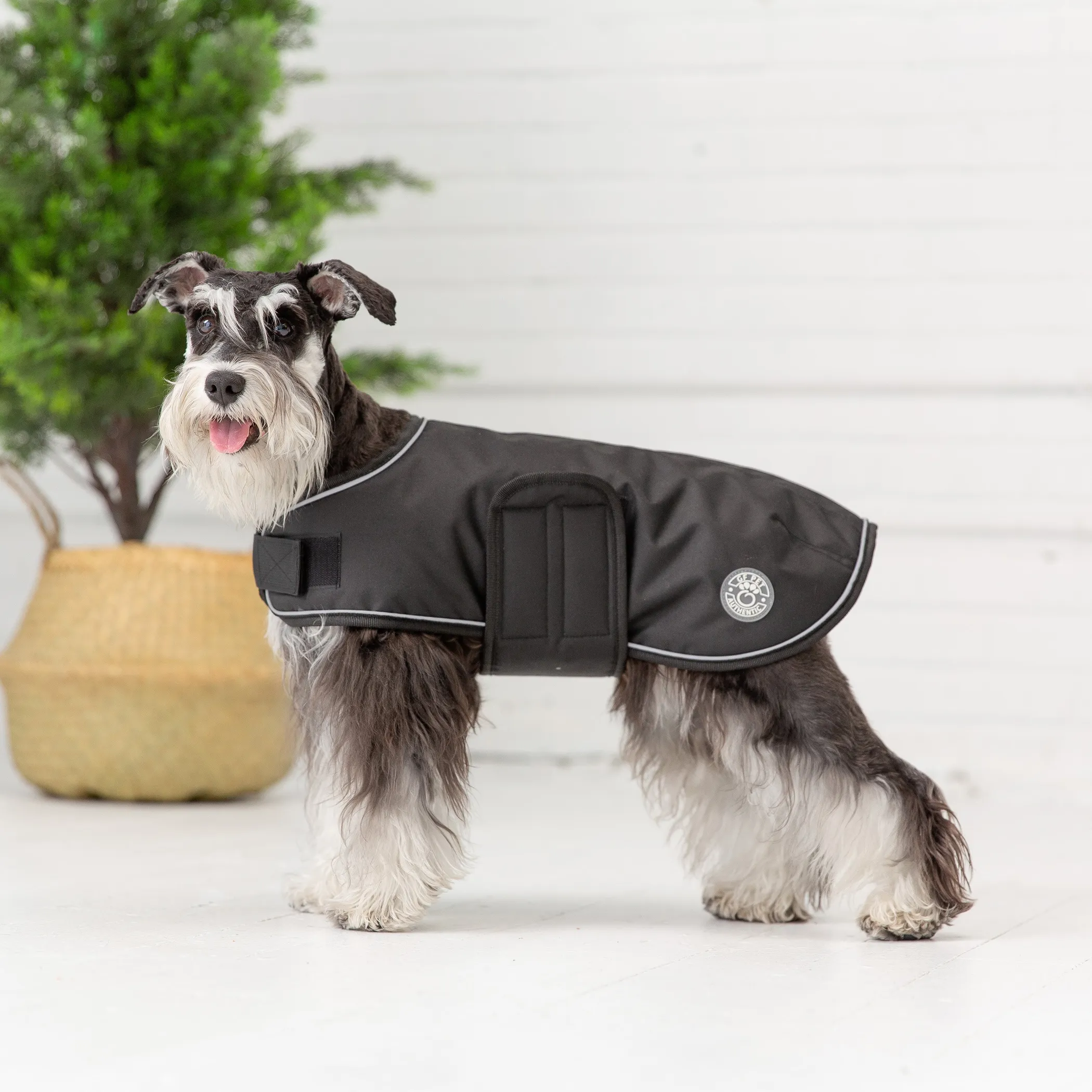 GF Pet Dog Blanket Jacket - Image 3